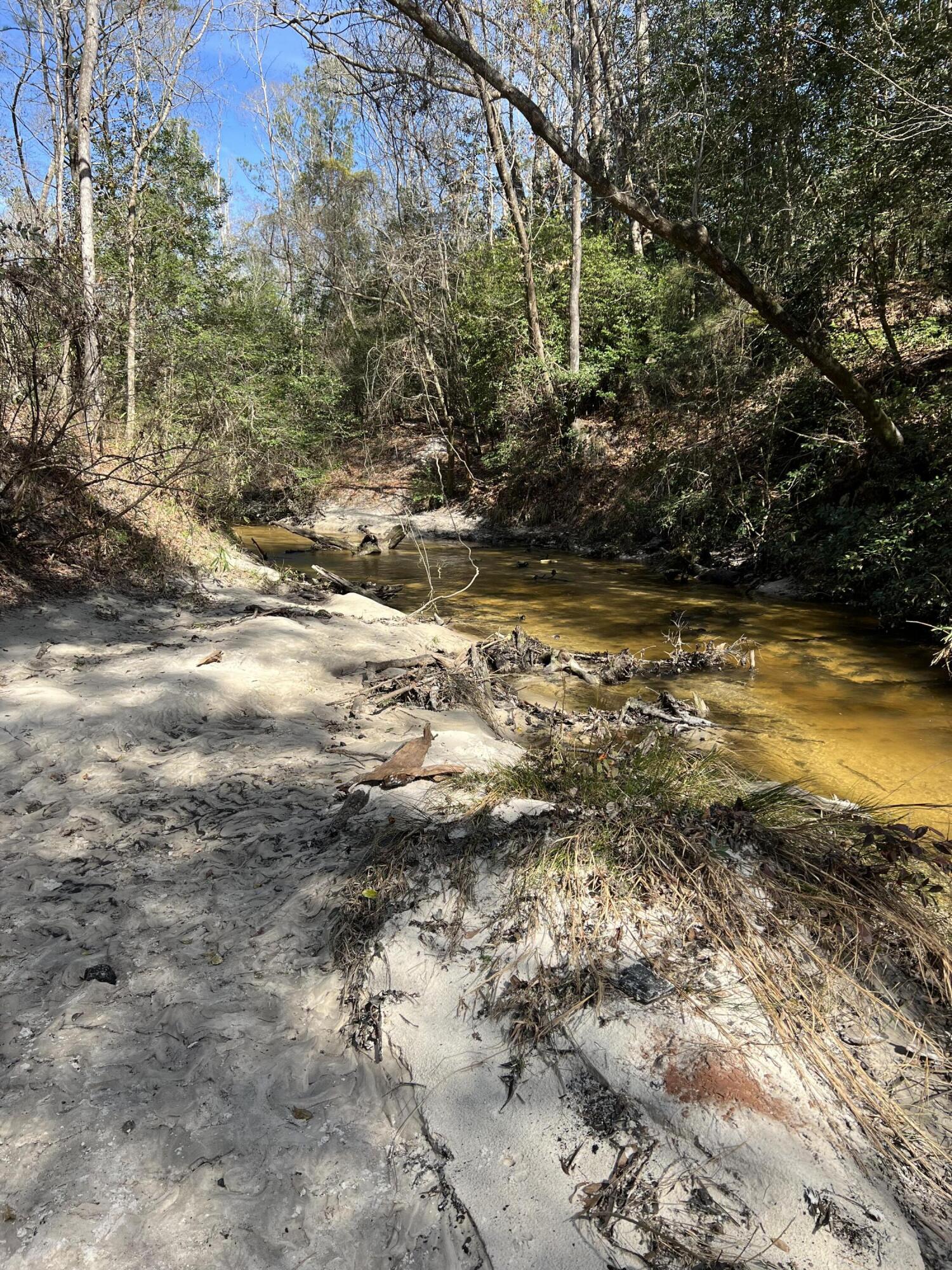 Creek 1