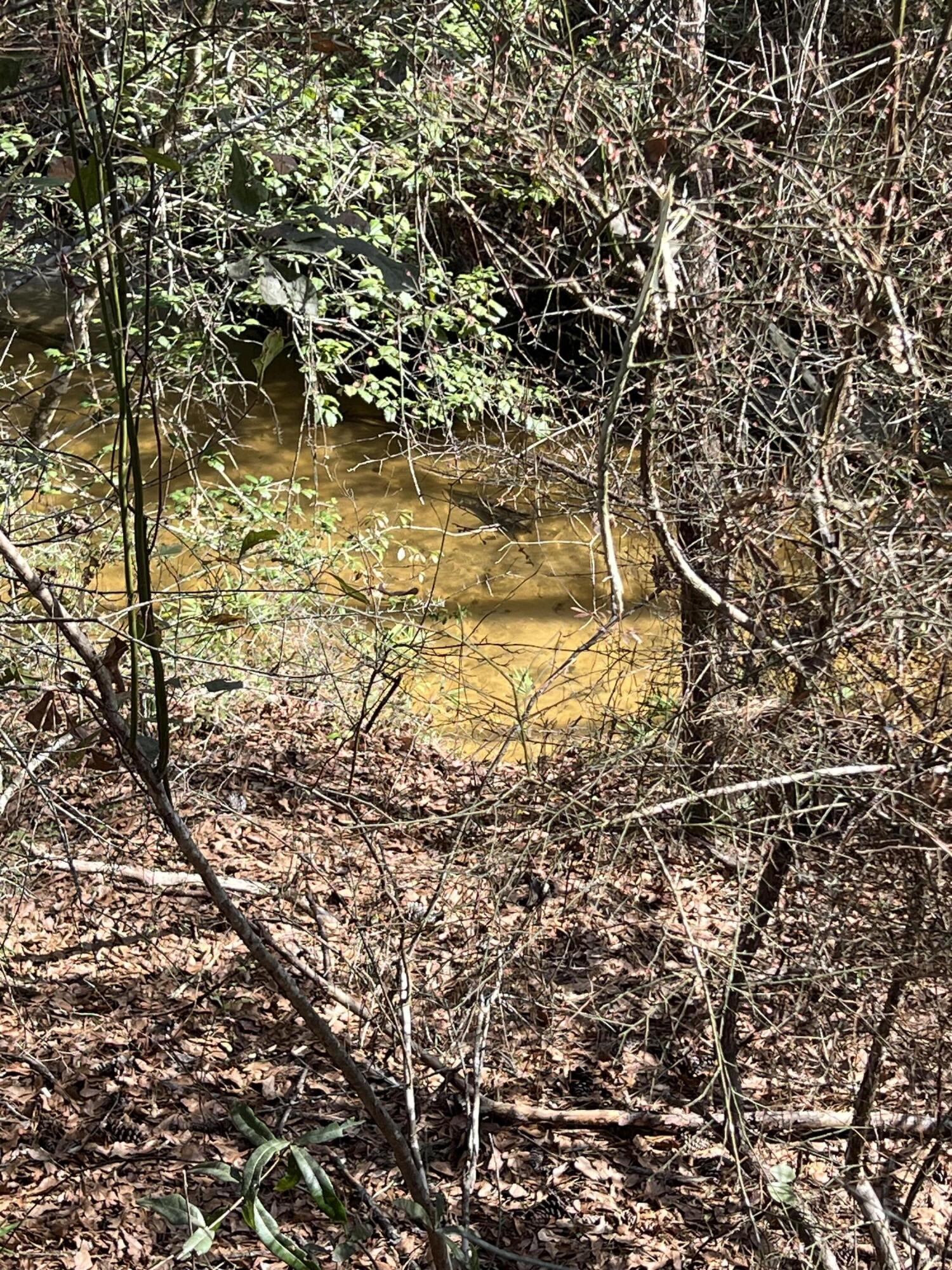 Creek 2