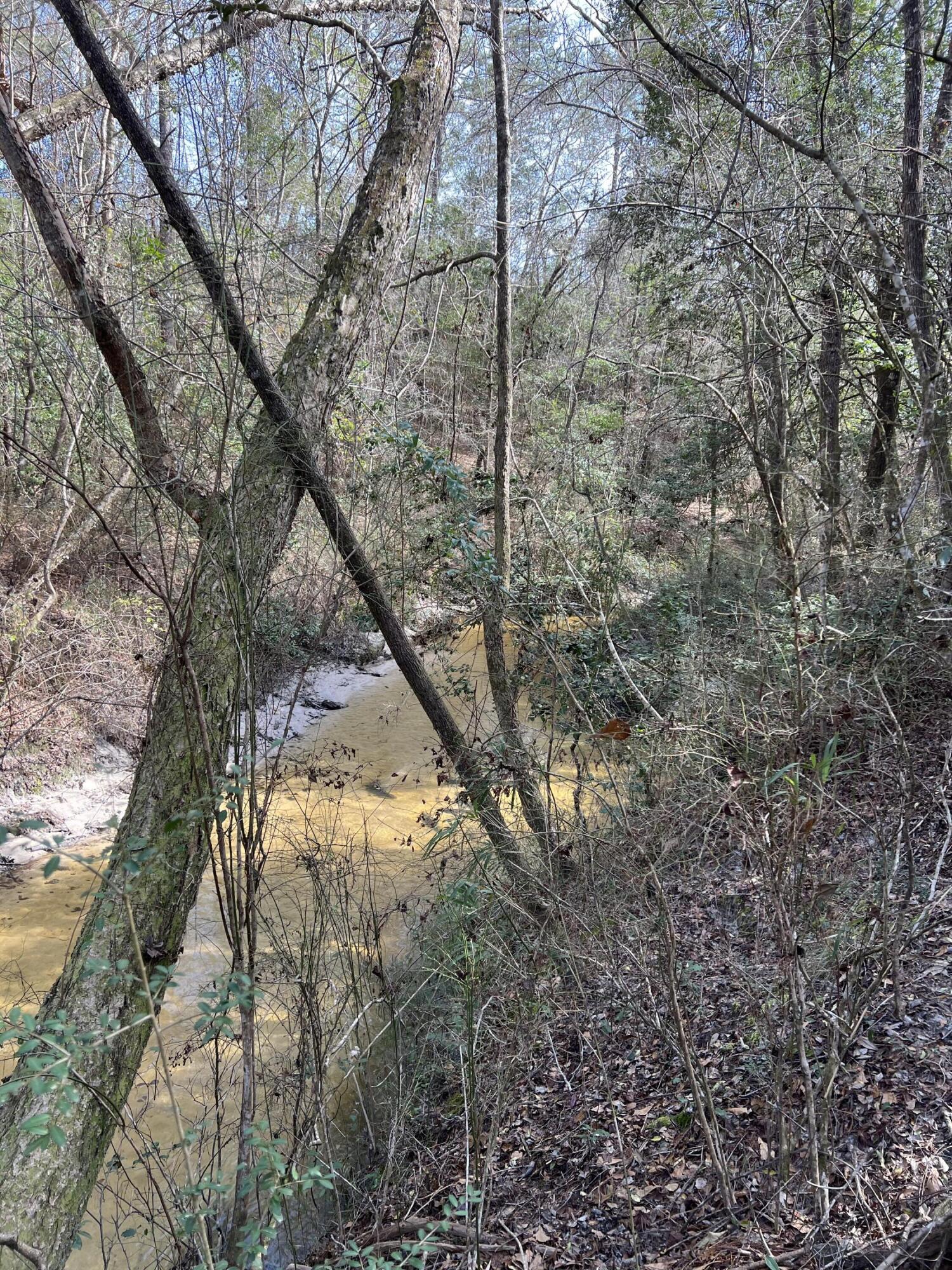 Creek 3