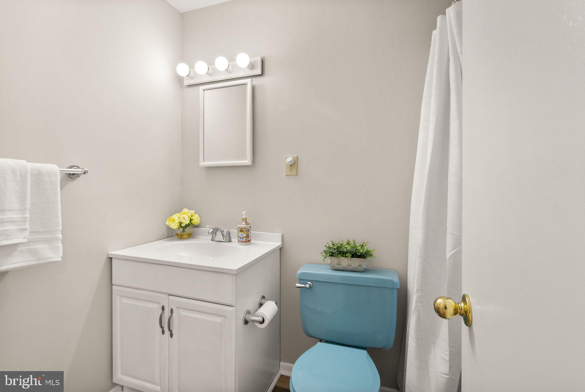 38956 Rickard Road Lovettsville, VA 20180 - Photo 29 of 78