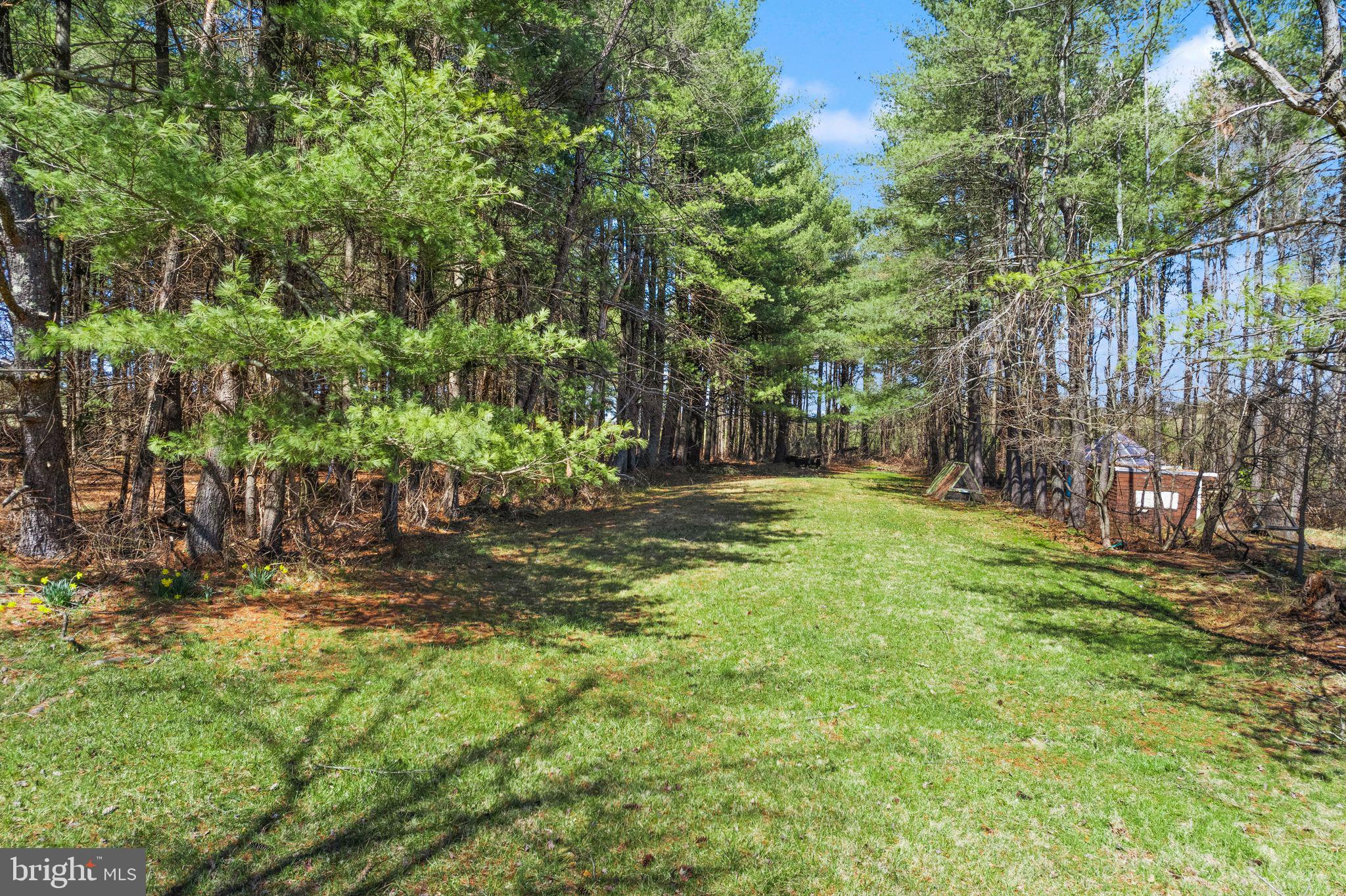 38956 Rickard Road Lovettsville, VA 20180 - Photo 54 of 78