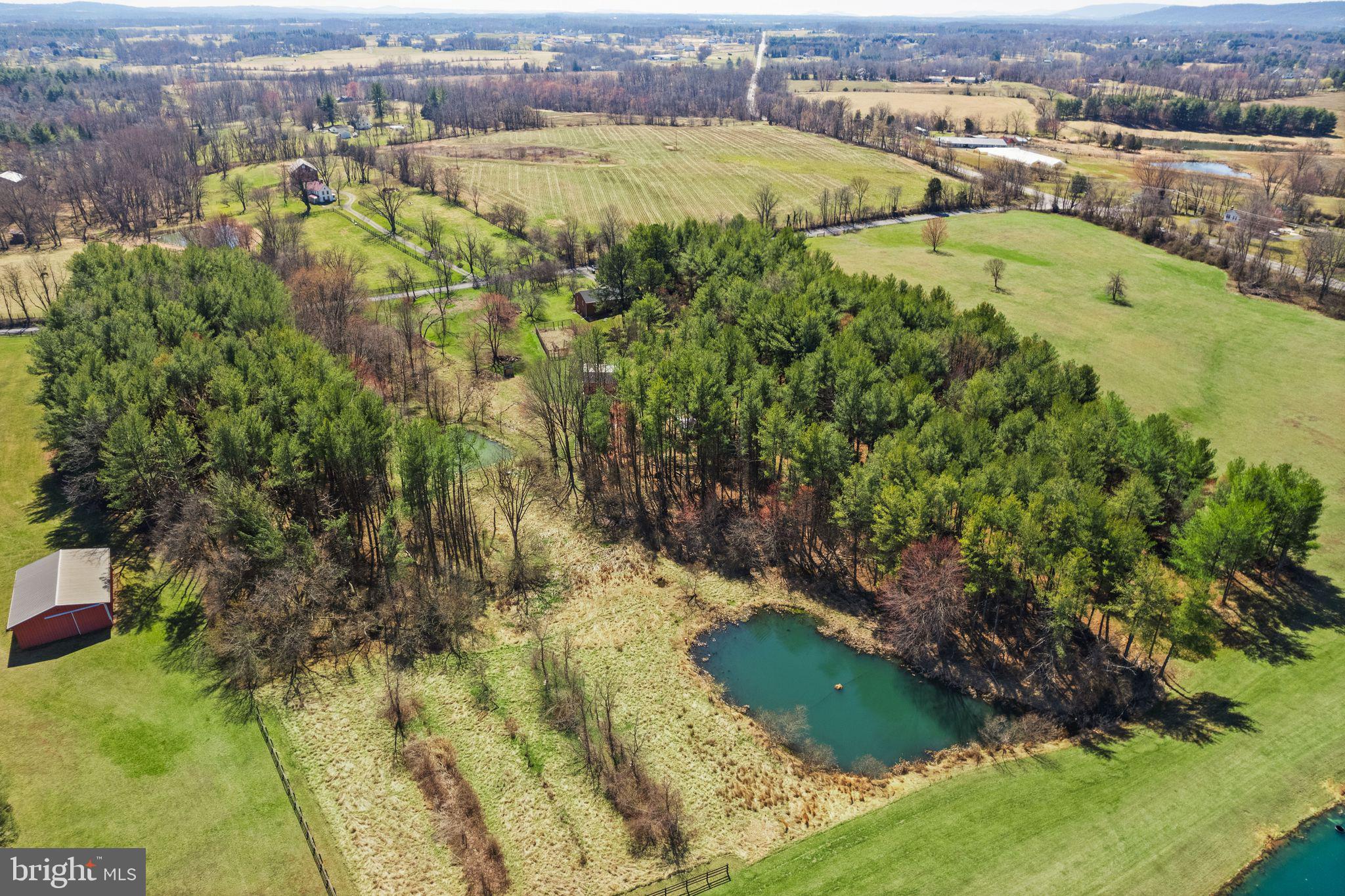 38956 Rickard Road Lovettsville, VA 20180 - Photo 6 of 78