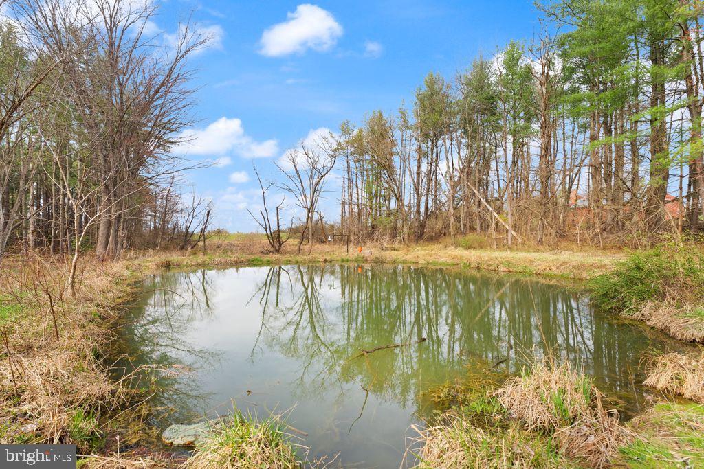 38956 Rickard Road Lovettsville, VA 20180 - Photo 67 of 78