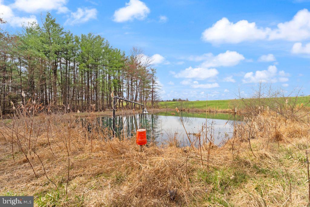 38956 Rickard Road Lovettsville, VA 20180 - Photo 68 of 78
