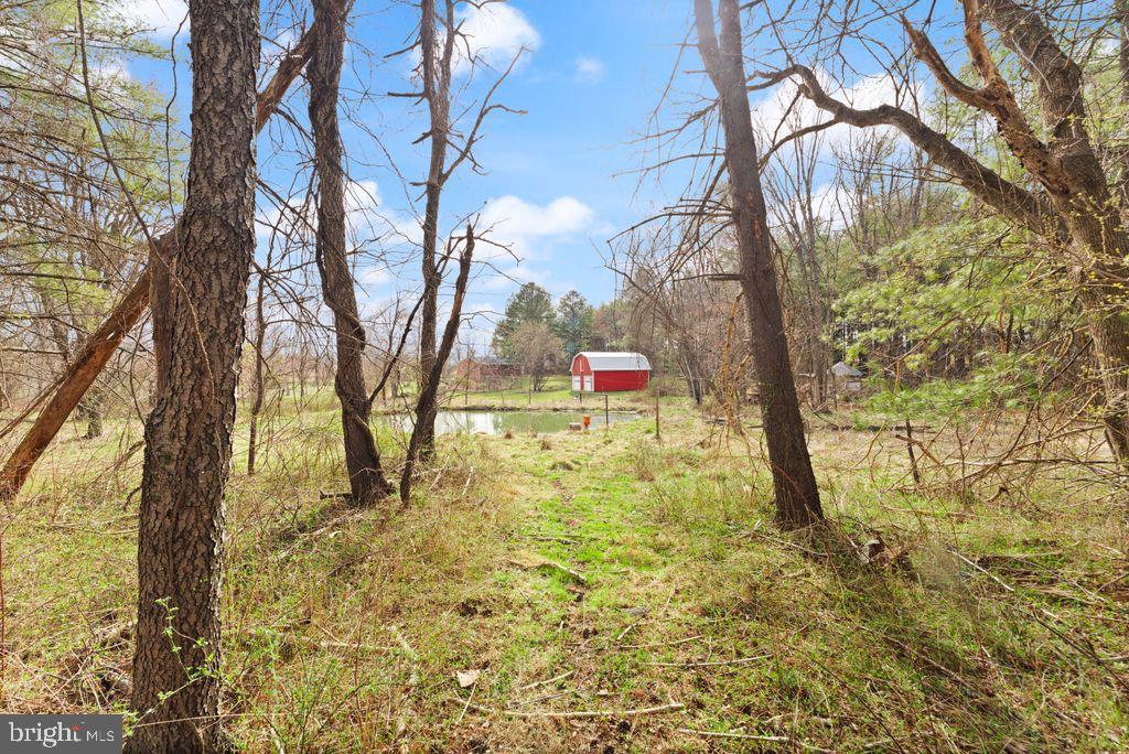 38956 Rickard Road Lovettsville, VA 20180 - Photo 69 of 78
