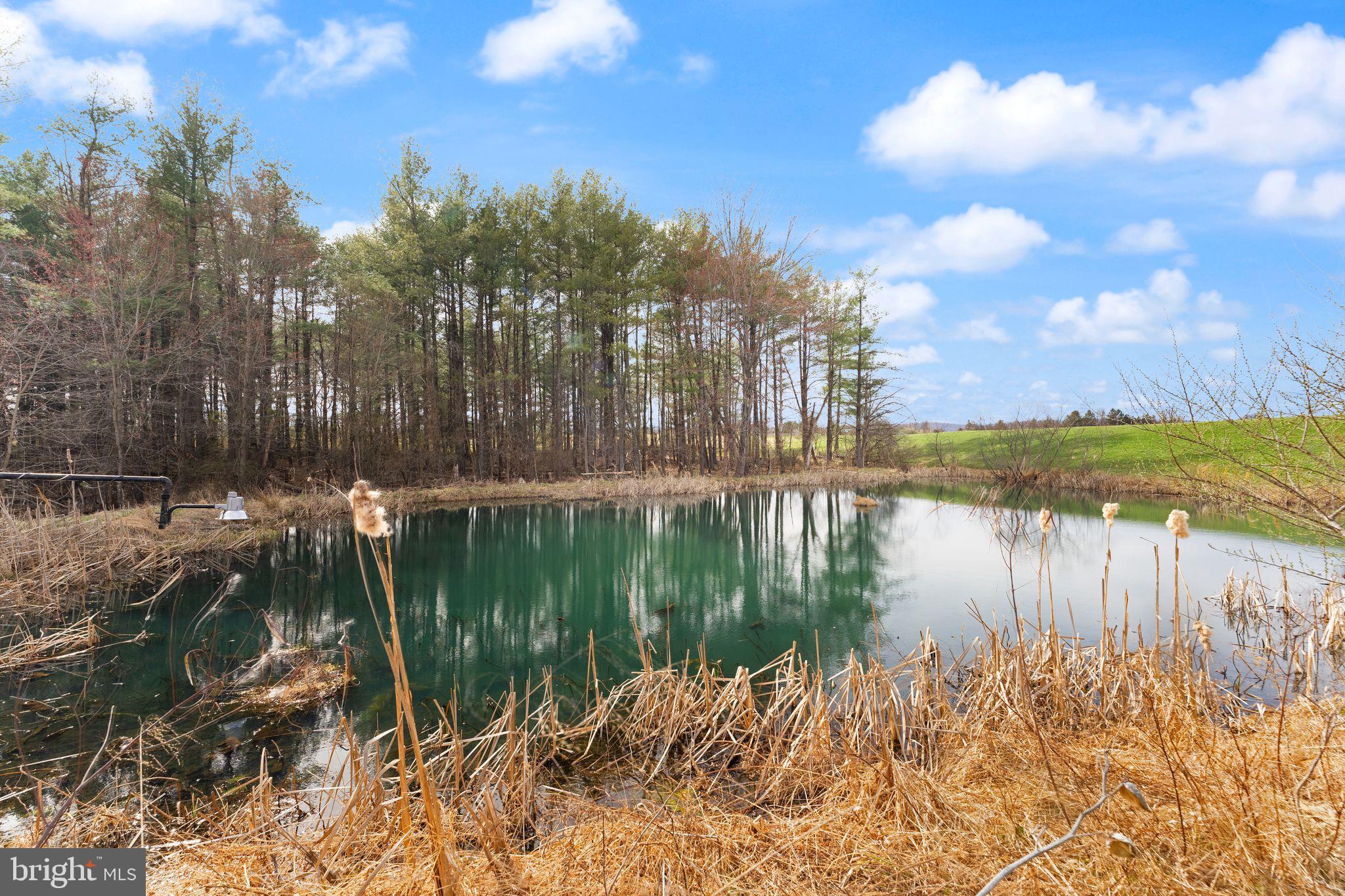 38956 Rickard Road Lovettsville, VA 20180 - Photo 7 of 78