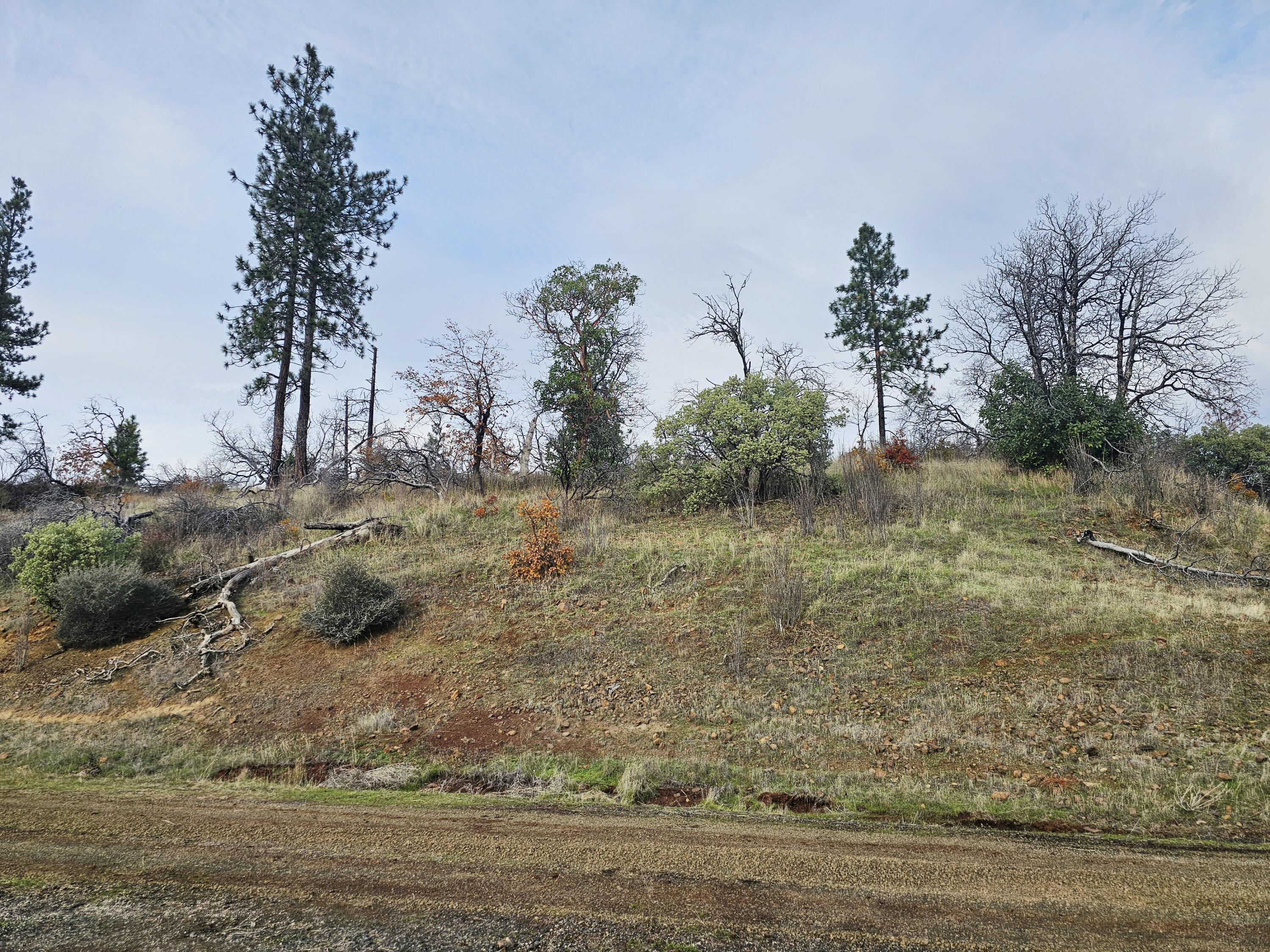 2162 Butte Falls Highway Eagle Point, OR 97524 - Photo 39 of 63 39