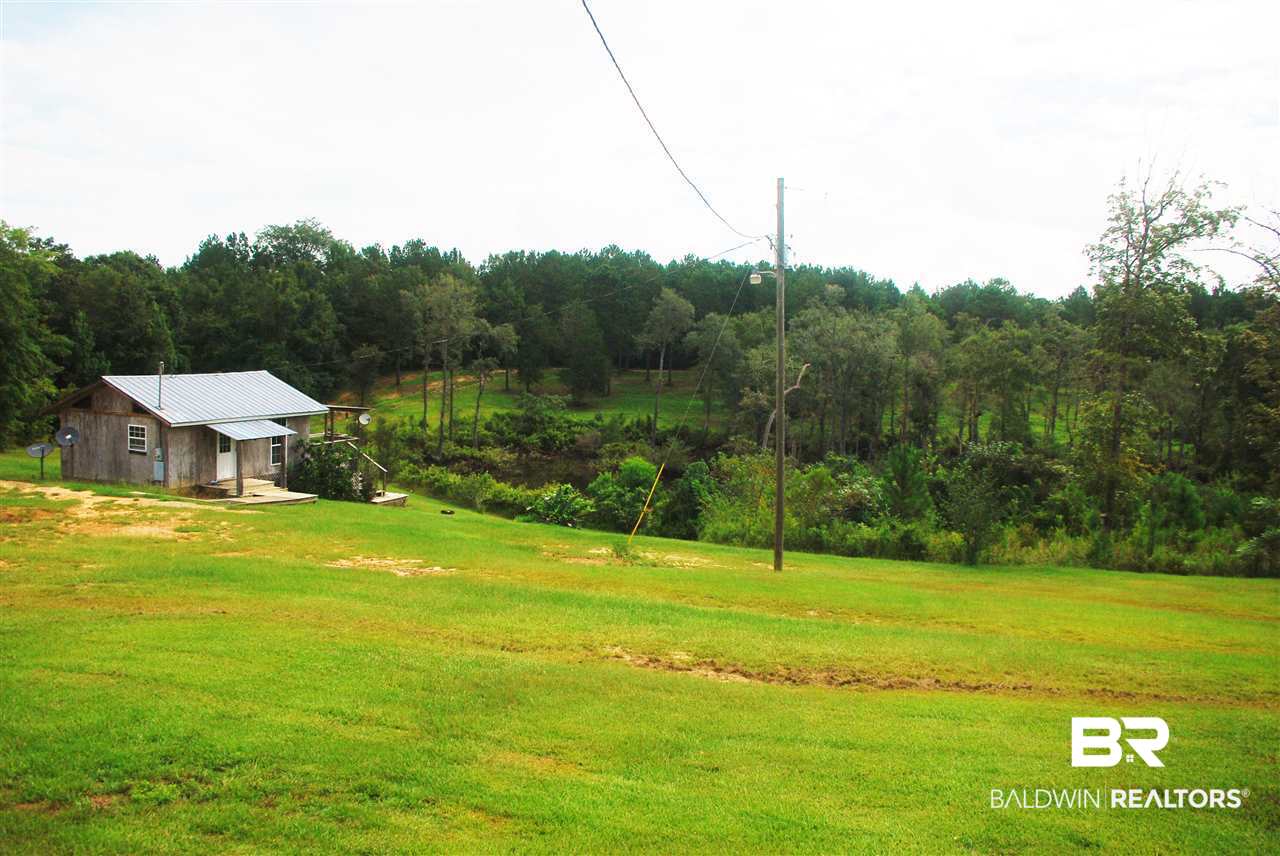 249 Camp Dixon Road Brewton, AL 36426 - Photo 21 of 48