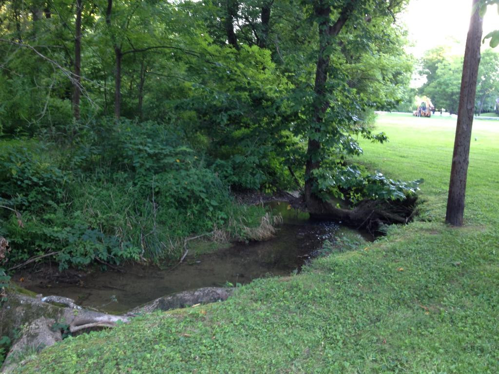 129 Wampler Road Bristol, TN 37620 - Photo 8 of 24 CreekStream at Property Line