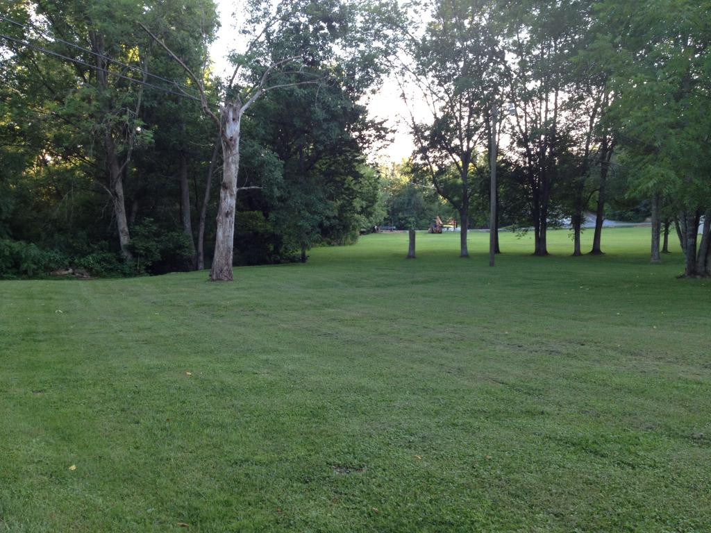 129 Wampler Road Bristol, TN 37620 - Photo 9 of 24 Side Yard