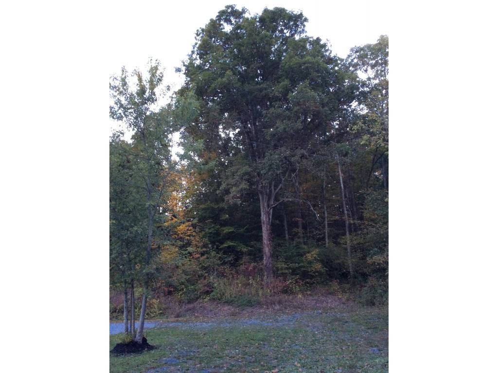 129 Wampler Road Bristol, TN 37620 - Photo 10 of 24 Wooded AreaUpper Side of Home