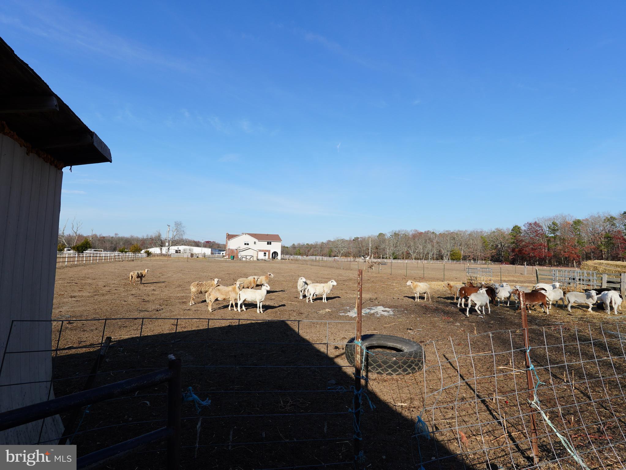 308 Pancoast Mill Road Buena, NJ 08310 - Photo 15 of 24