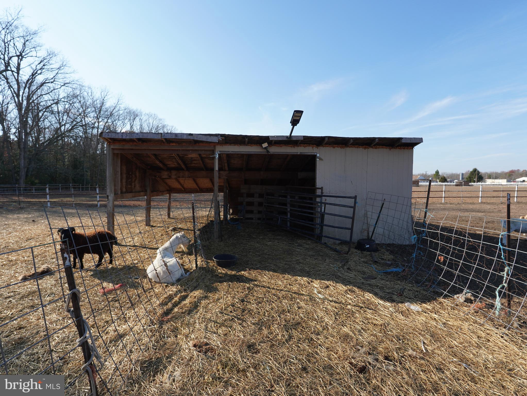 308 Pancoast Mill Road Buena, NJ 08310 - Photo 16 of 24