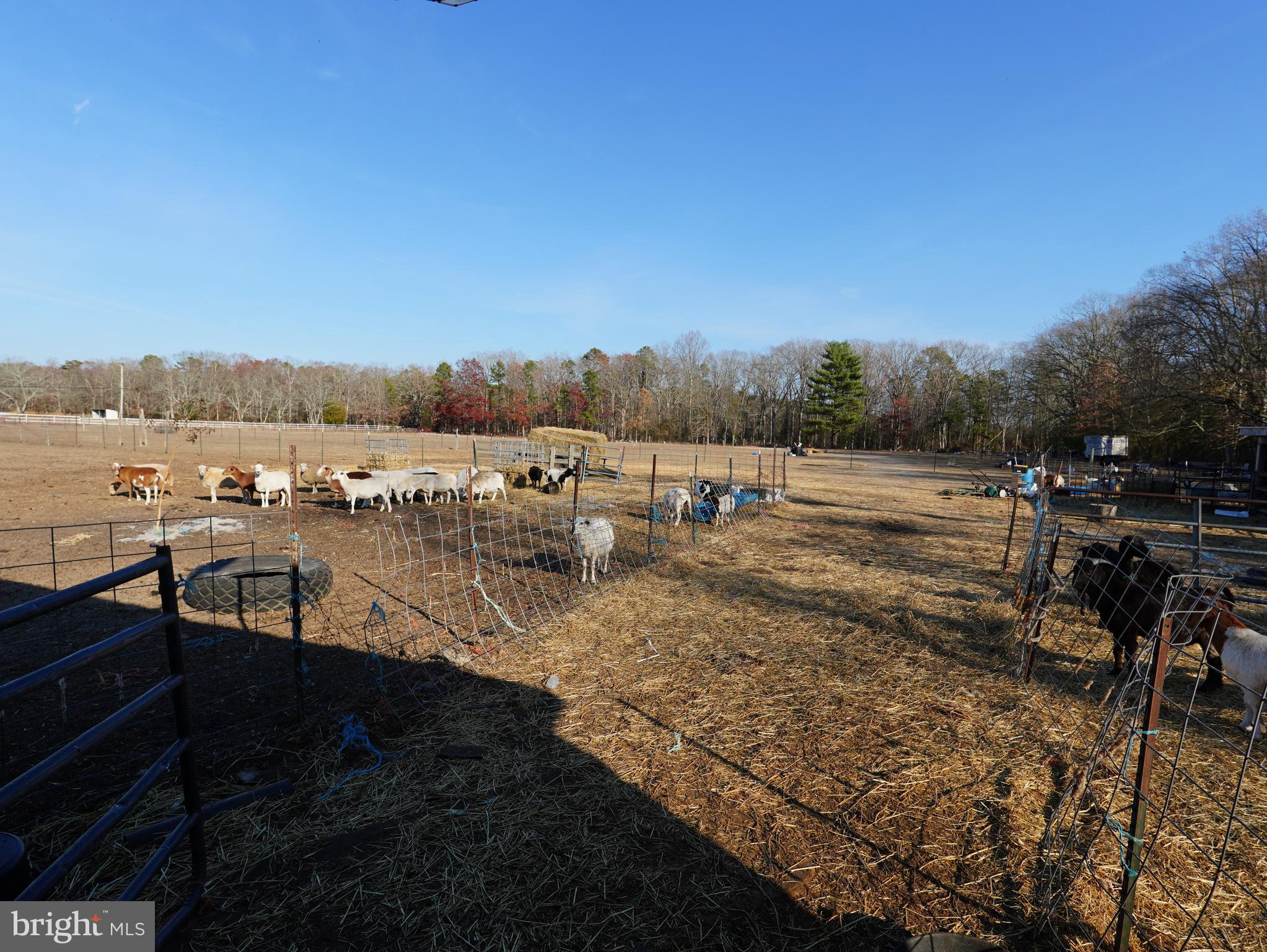 308 Pancoast Mill Road Buena, NJ 08310 - Photo 17 of 24