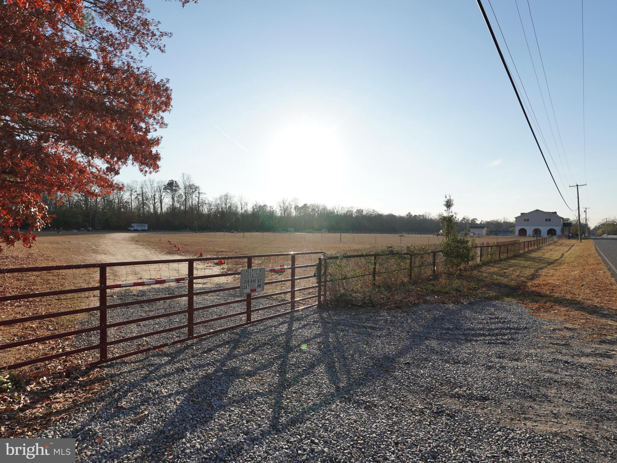 308 Pancoast Mill Road Buena, NJ 08310 - Photo 20 of 24