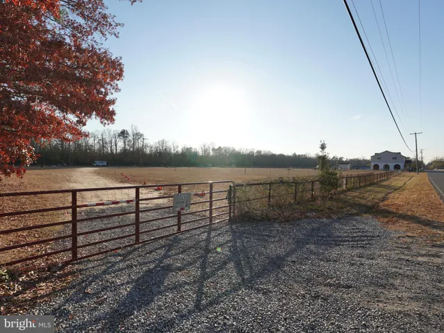 a view of a yard with a large tree