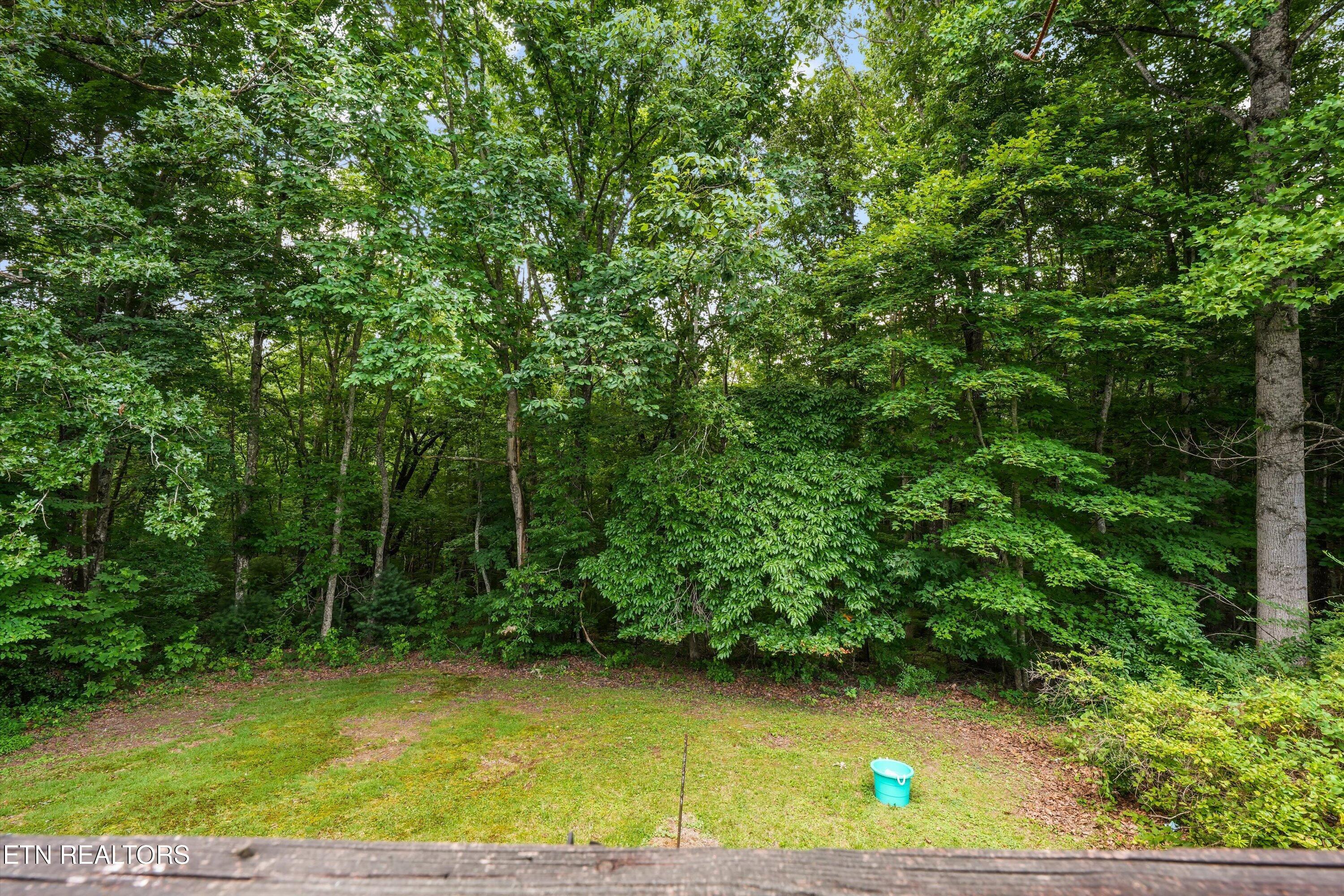 748 Christenson Road Deer Lodge, TN 37726 - Photo 27 of 42 28-748 Christenson Rd 35
