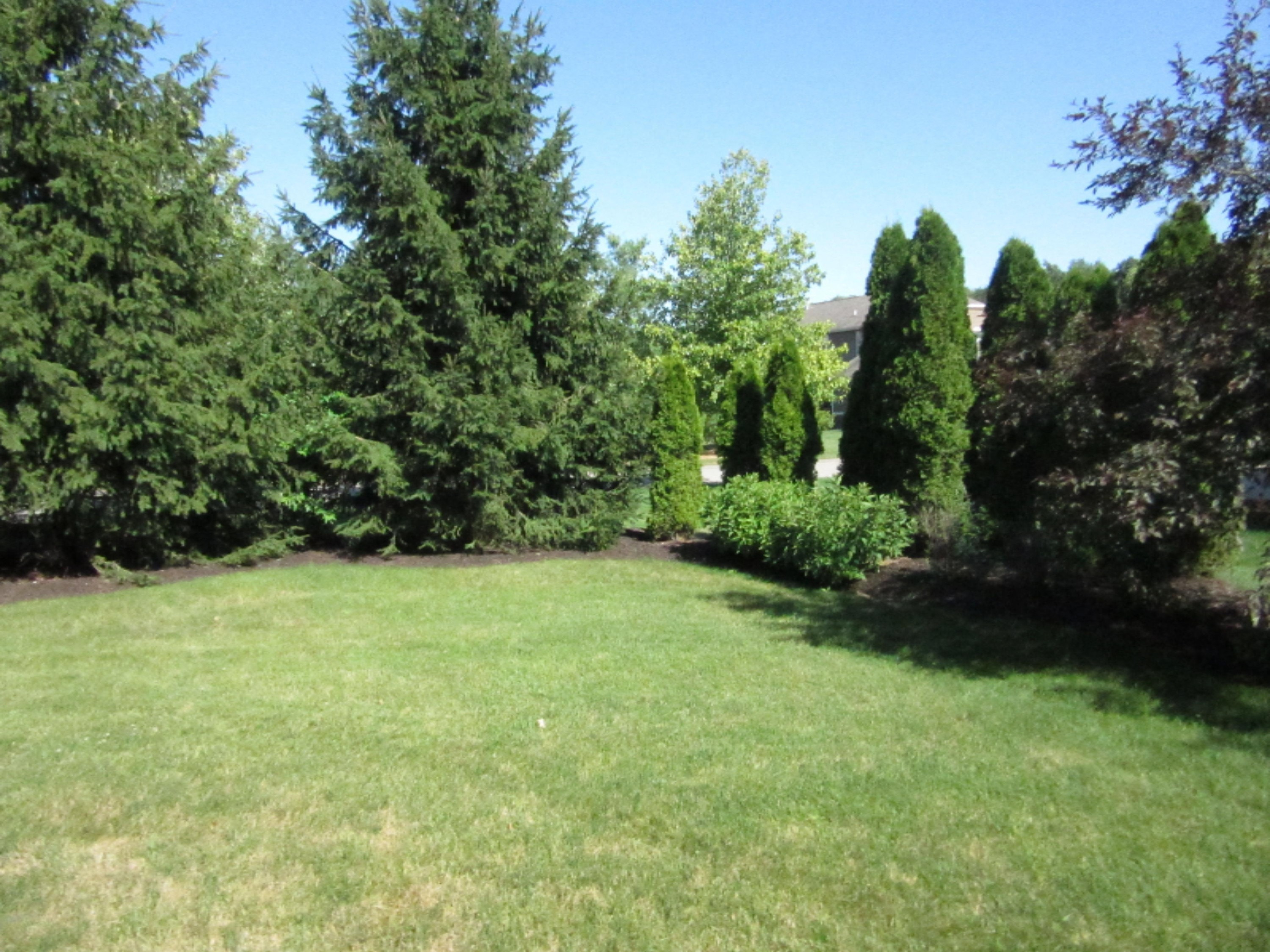 3408 Mason Ridge Drive Northeast Grand Rapids, MI 49525 - Photo 16 of 16 IMG_7061