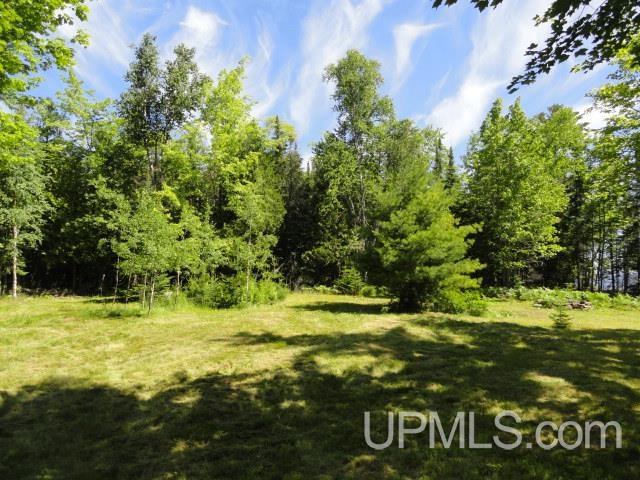 Tbd Puuri Road Baraga, MI 49908 - Photo 6 of 20