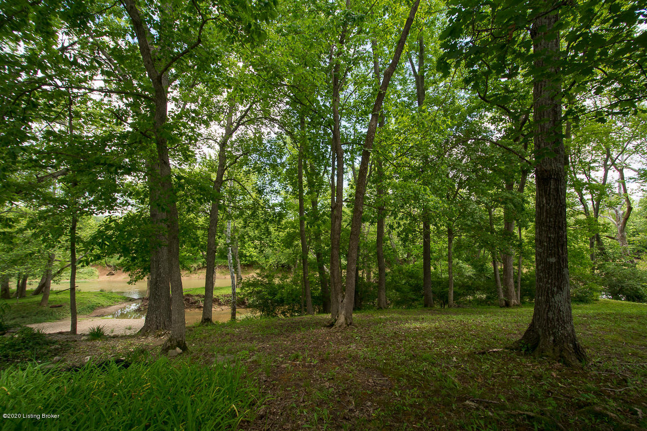 15011 Bircham Road Louisville, KY 40245 - Photo 76 of 79 Property line extends to island. Backs up to Floyd's Fork where you will see great nature life and kayakers!
