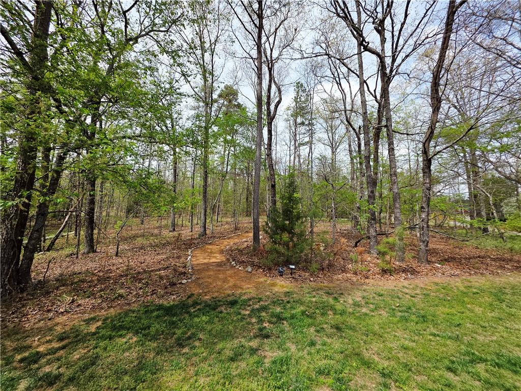 20 Blacksmith Lane Cartersville, GA 30120 - Photo 68 of 72