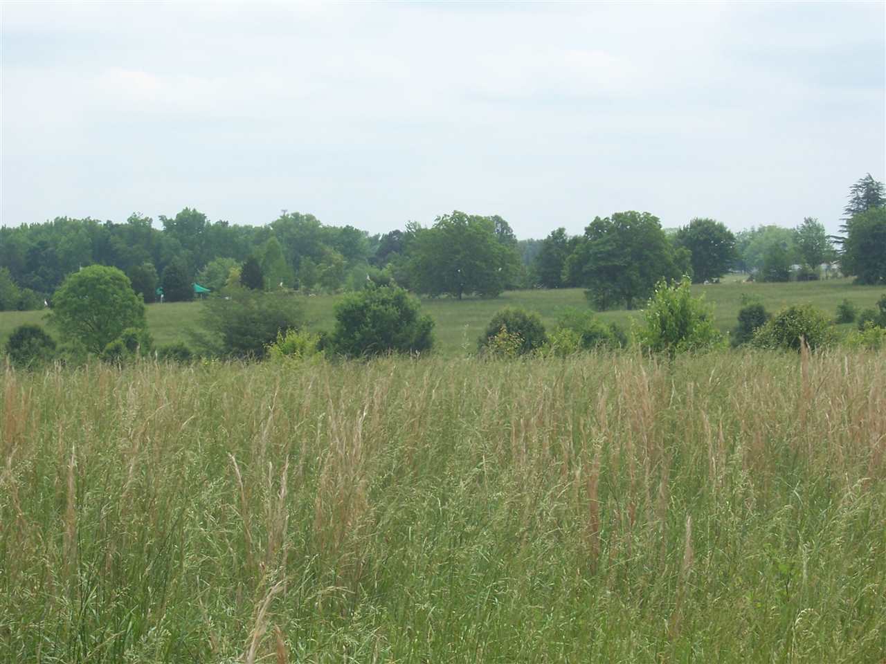 Chesnee Hwy Road Gaffney, SC 29341 - Photo 3 of 4