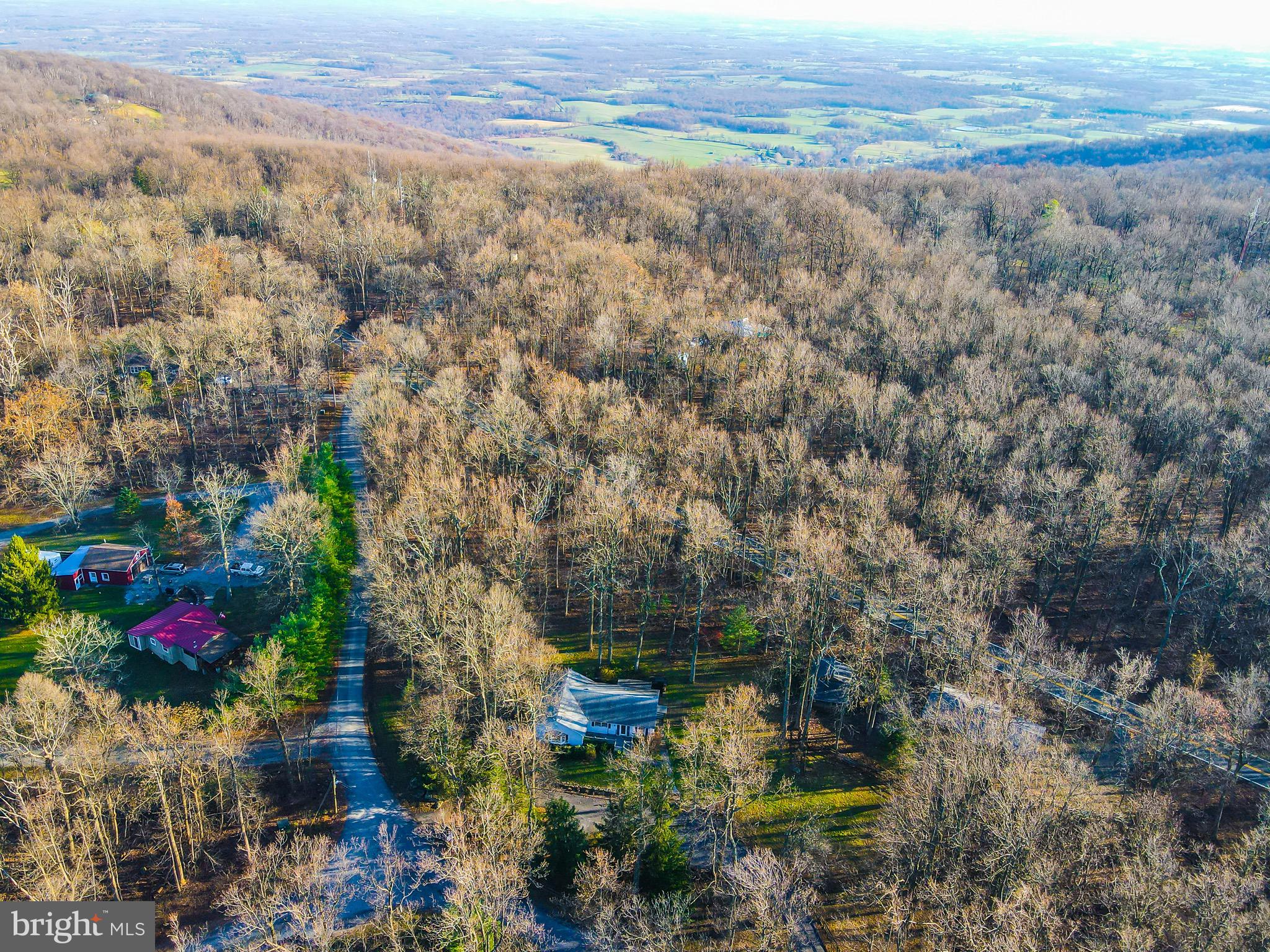32651 Mt Weather Road Bluemont, VA 20135 - Photo 114 of 117 32651 Mount Weather Rd to the right! So pretty.