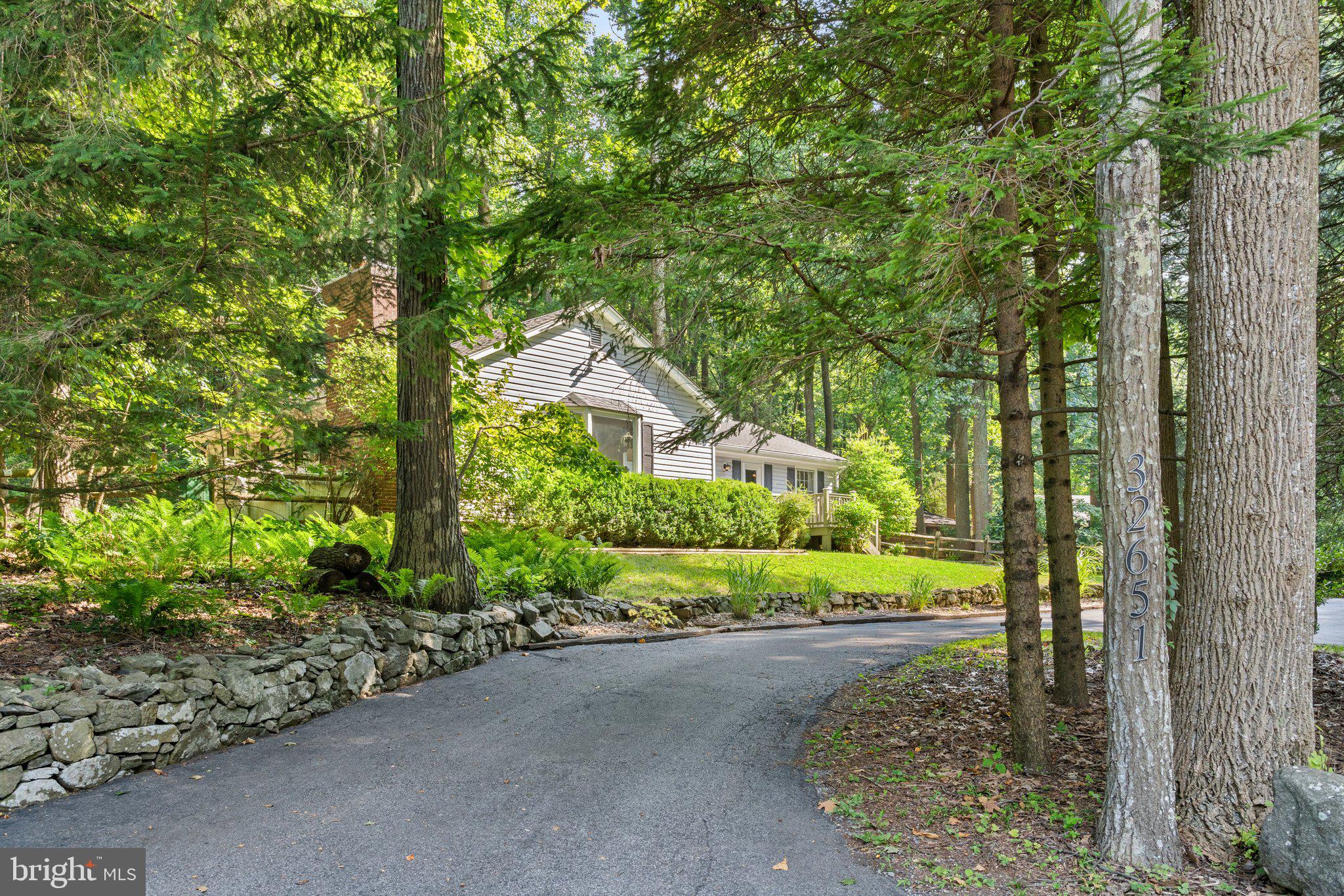 32651 Mt Weather Road Bluemont, VA 20135 - Photo 12 of 117 Wait until you see the FERNS in spring!