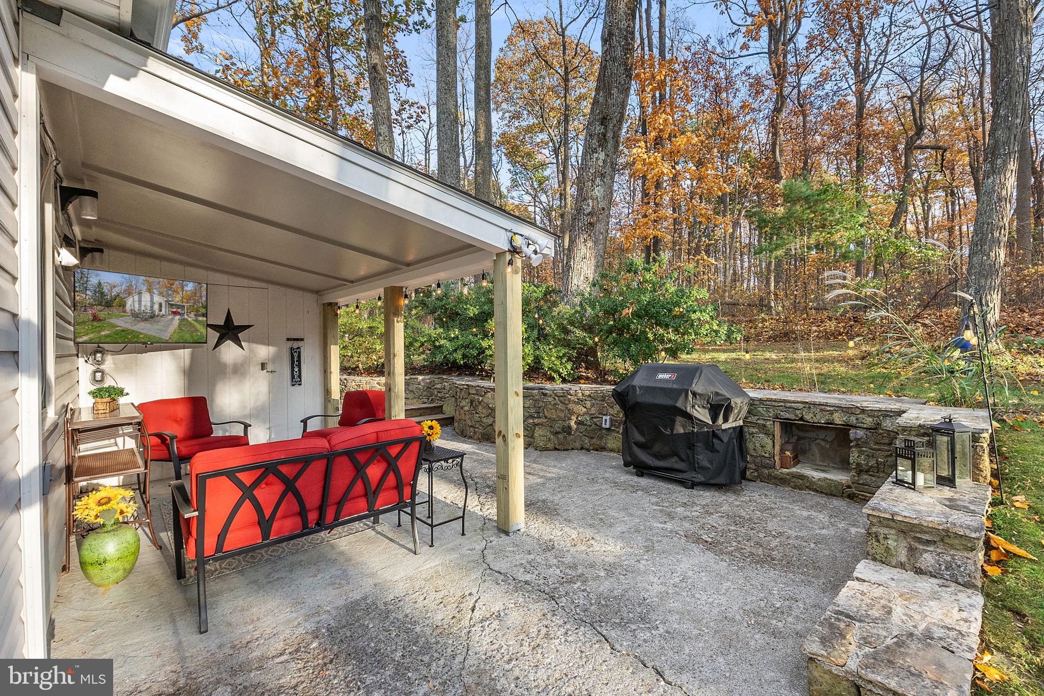 32651 Mt Weather Road Bluemont, VA 20135 - Photo 46 of 117 Tidy new roof near old stone wall.
