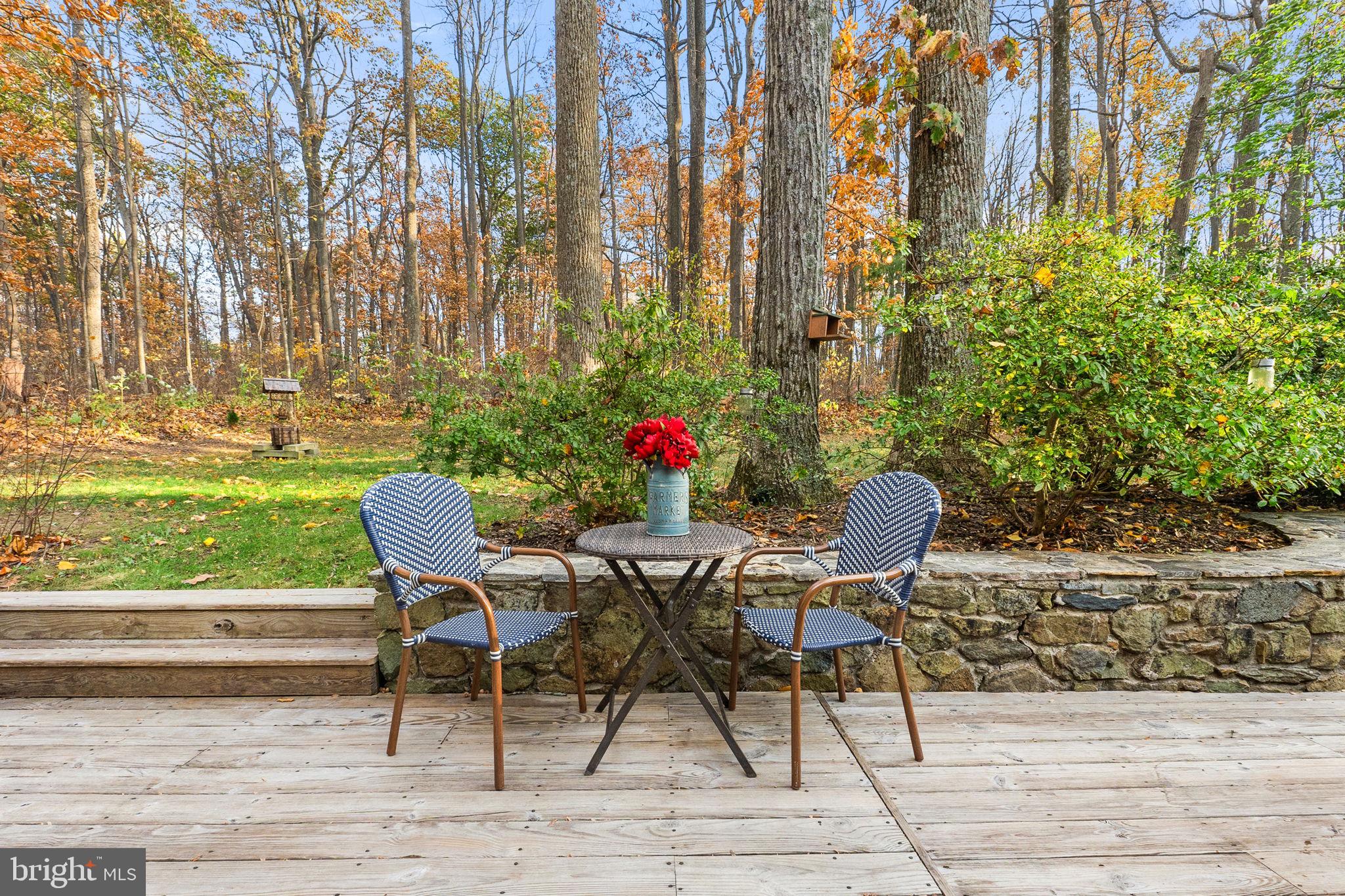 32651 Mt Weather Road Bluemont, VA 20135 - Photo 94 of 117 One of many outdoor sitting areas.