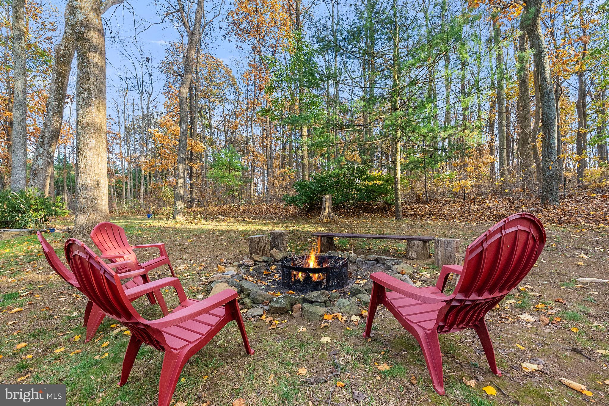 32651 Mt Weather Road Bluemont, VA 20135 - Photo 96 of 117 Gather round the fire!