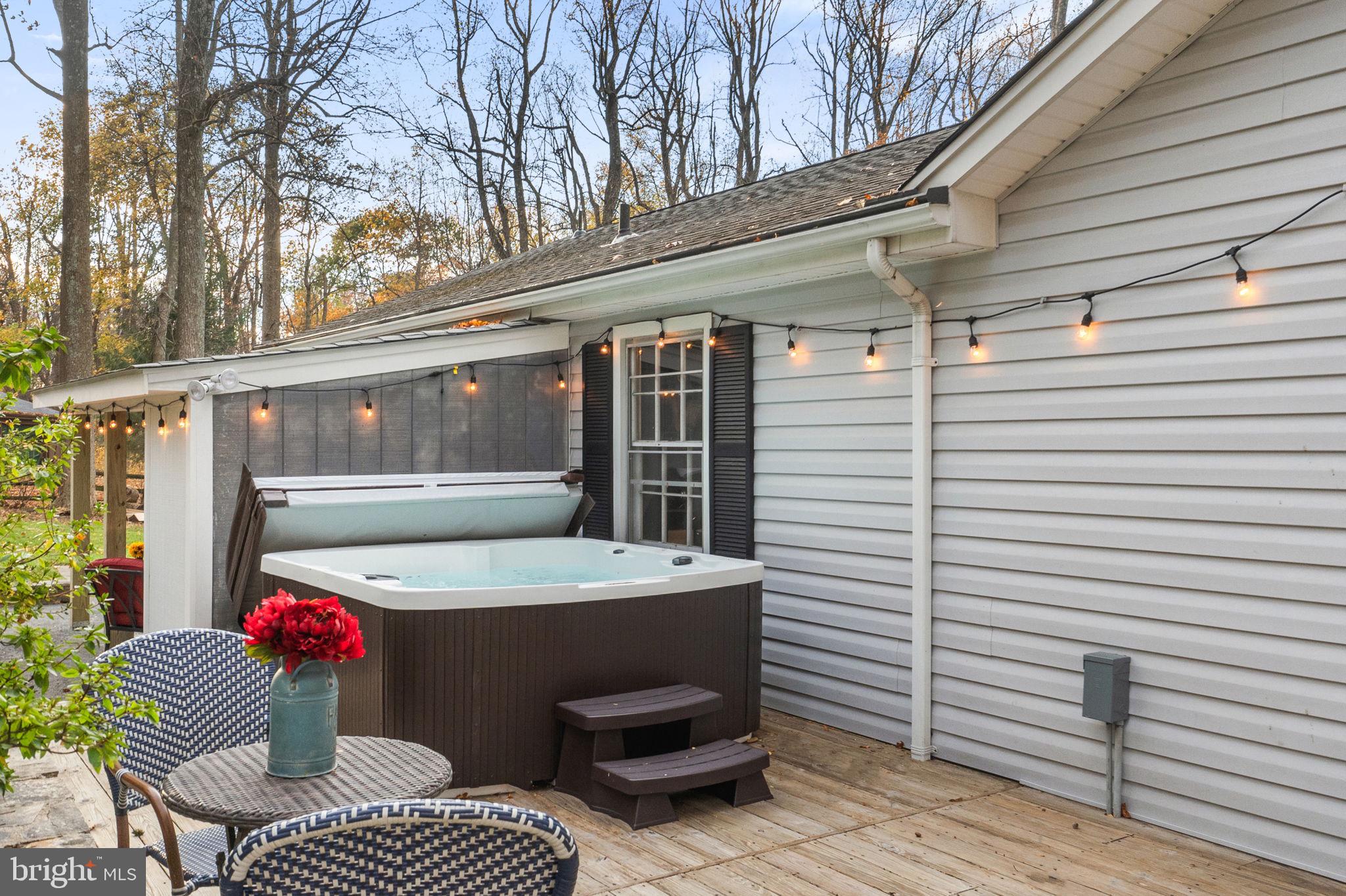 32651 Mt Weather Road Bluemont, VA 20135 - Photo 99 of 117 Hot tub has it's own access to primary suite!