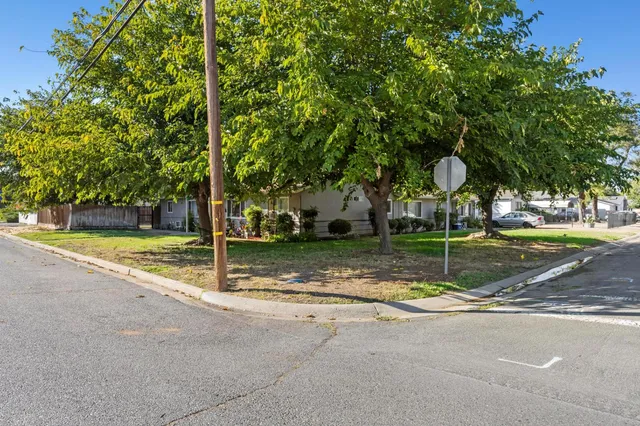 a view of a park with tree s