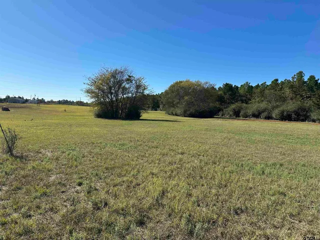 a view of an ocean and beach