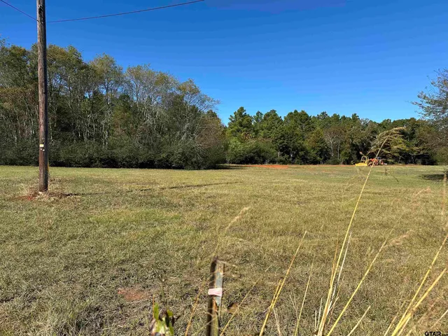 a view of a field with trees in the background