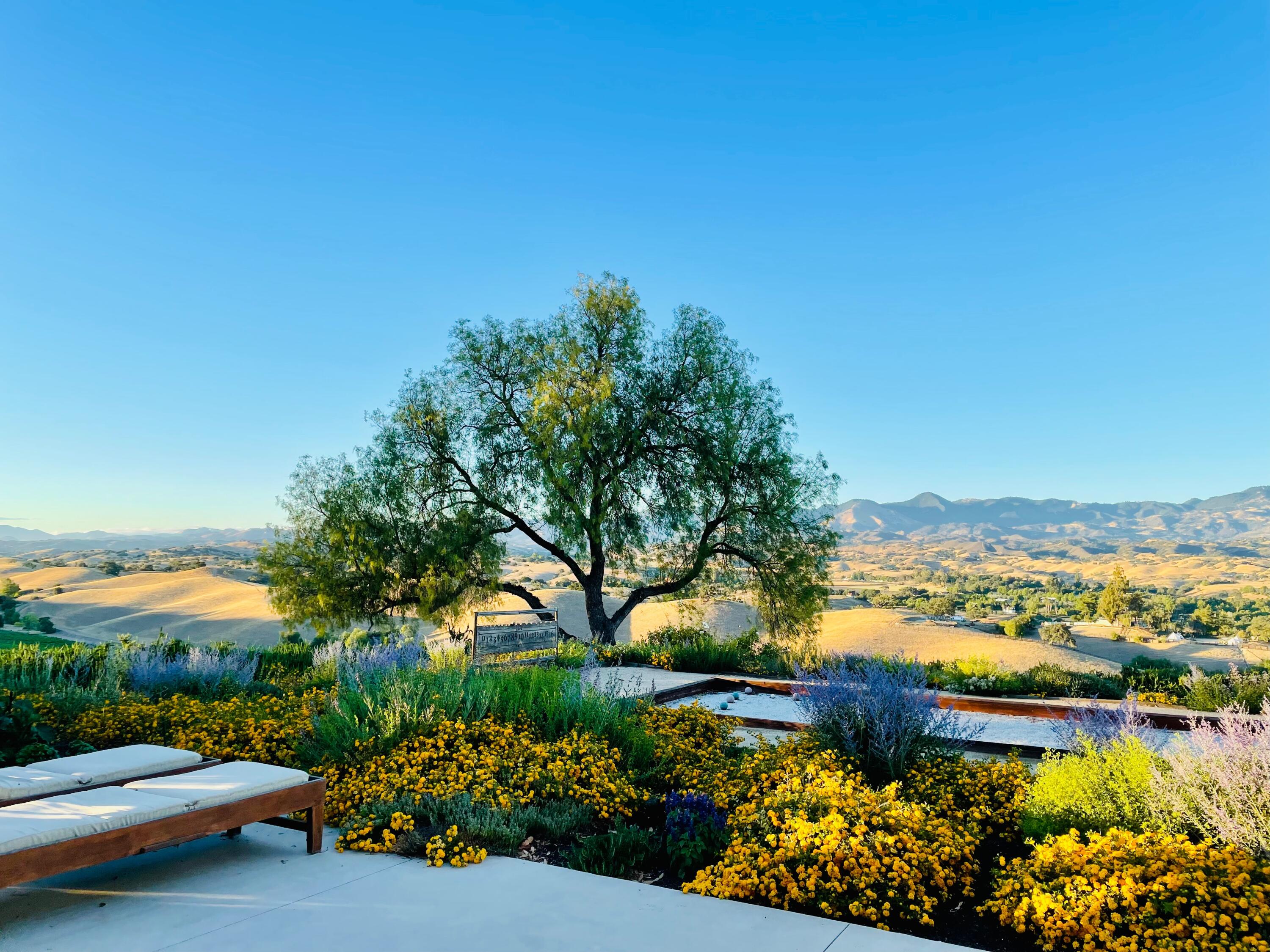 0 Tapadero Road Solvang, CA 93463 - Photo 21 of 36 21 Bocce Ball Court with Flowers