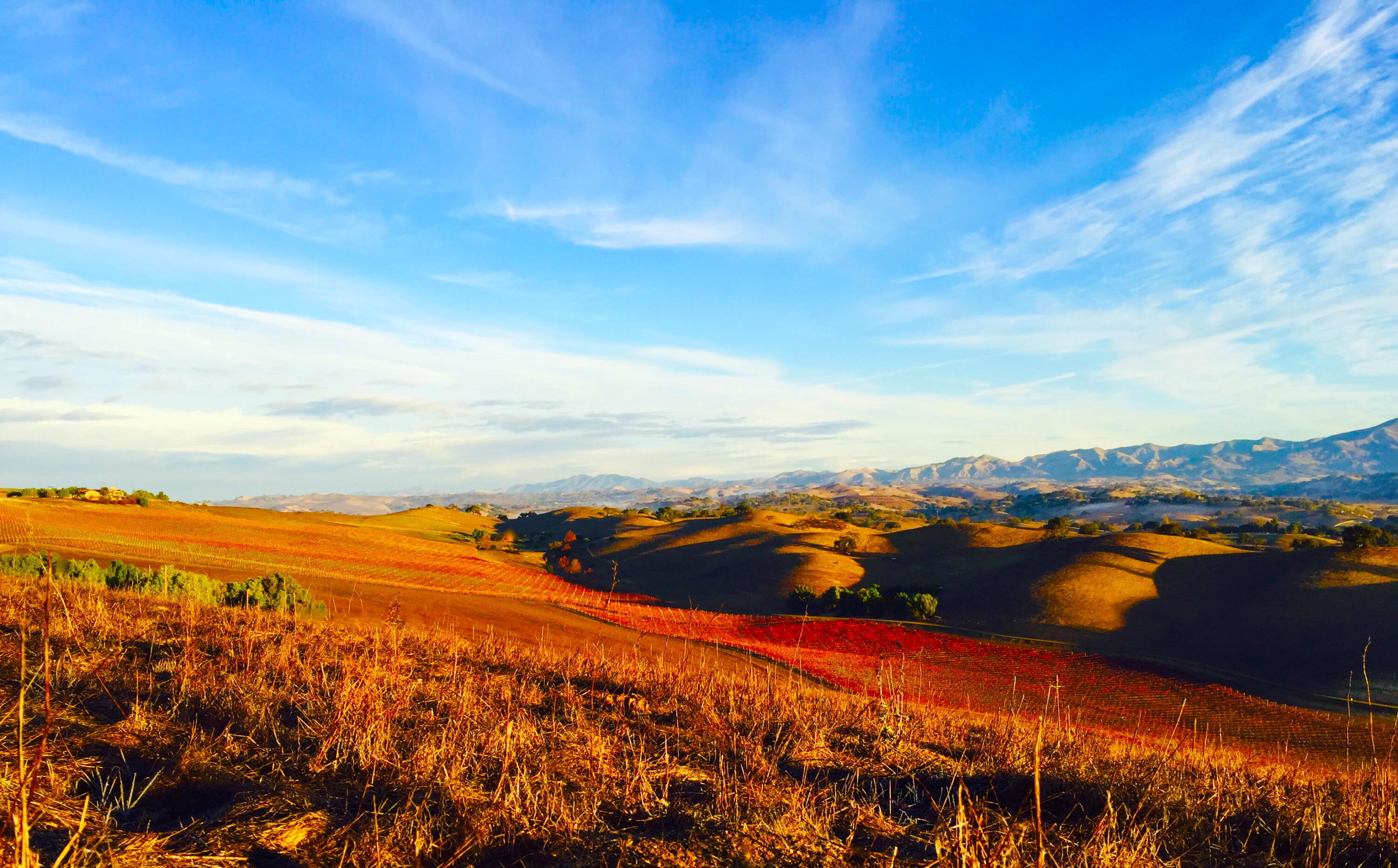 0 Tapadero Road Solvang, CA 93463 - Photo 31 of 36 31 Backyard view north in Autumn