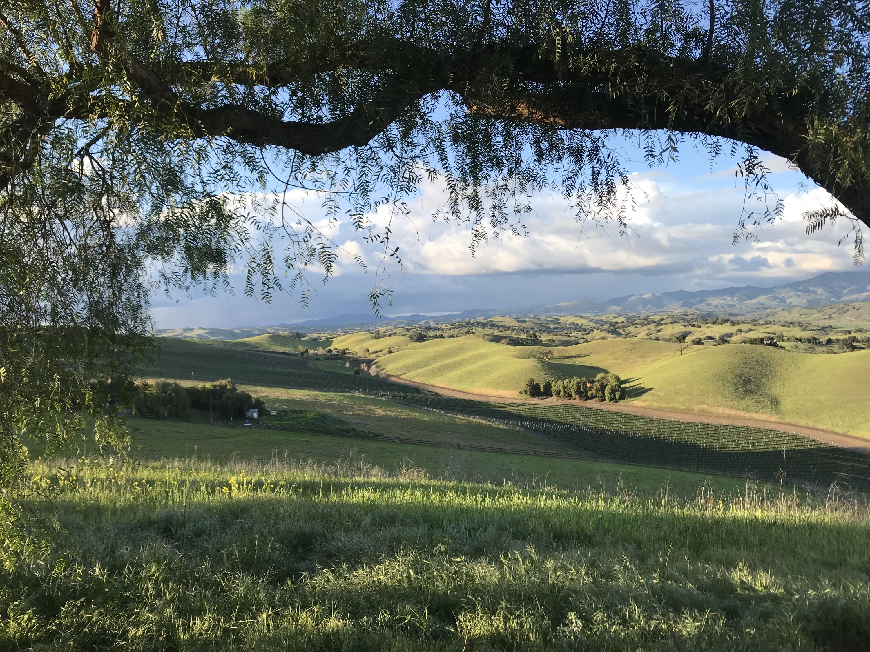 0 Tapadero Road Solvang, CA 93463 - Photo 33 of 36 33 Spring Valley View