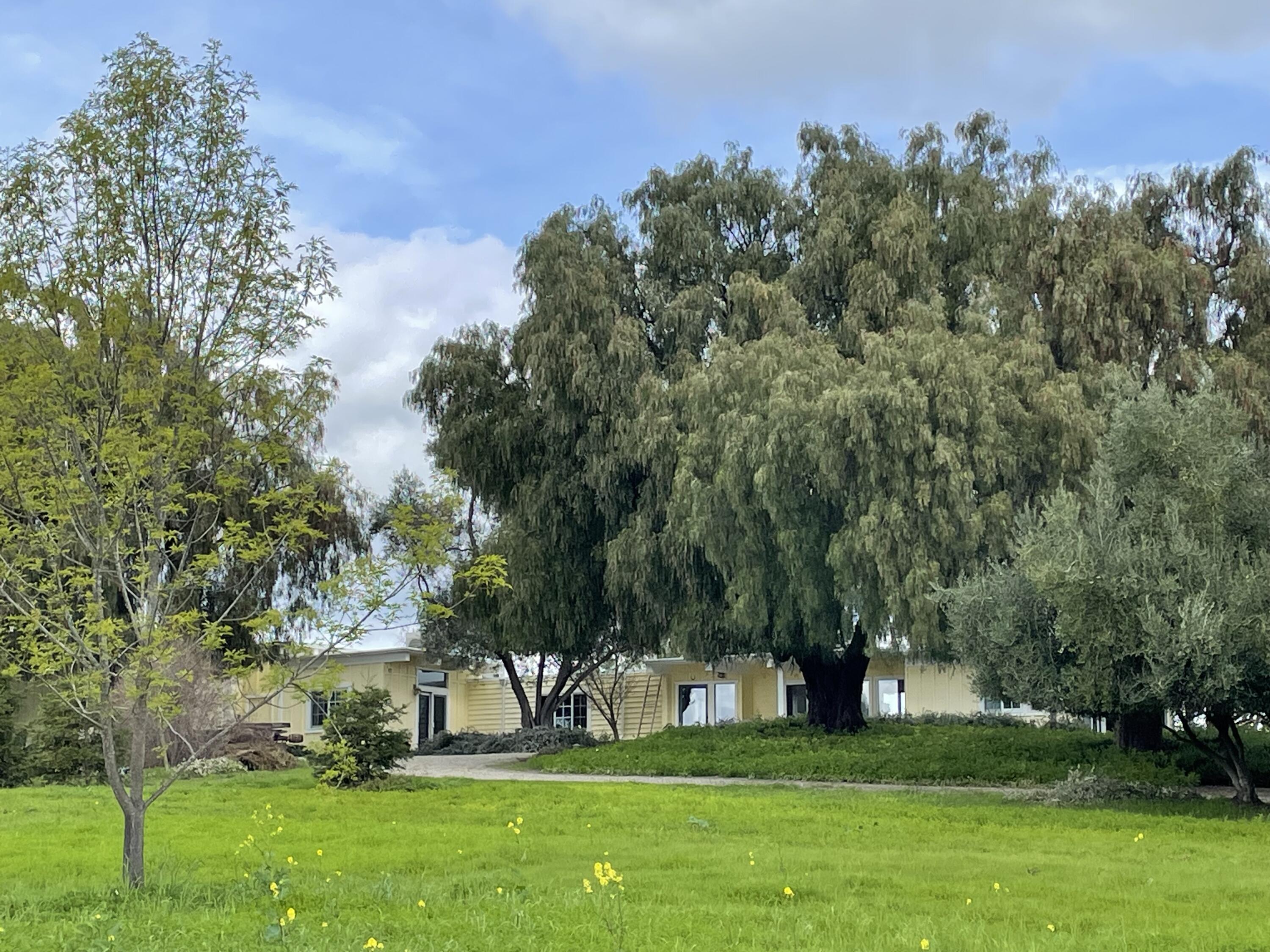 0 Tapadero Road Solvang, CA 93463 - Photo 35 of 36 35 Front of house in spring with grass f