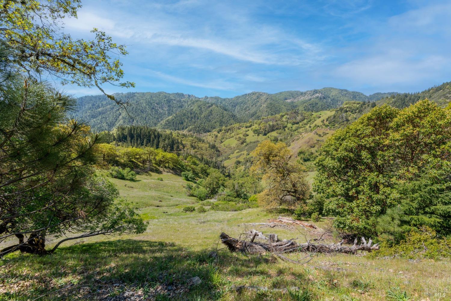 15800 Ridgeview Road Willits, CA 95490 - Photo 3 of 10 a view of lake with mountain