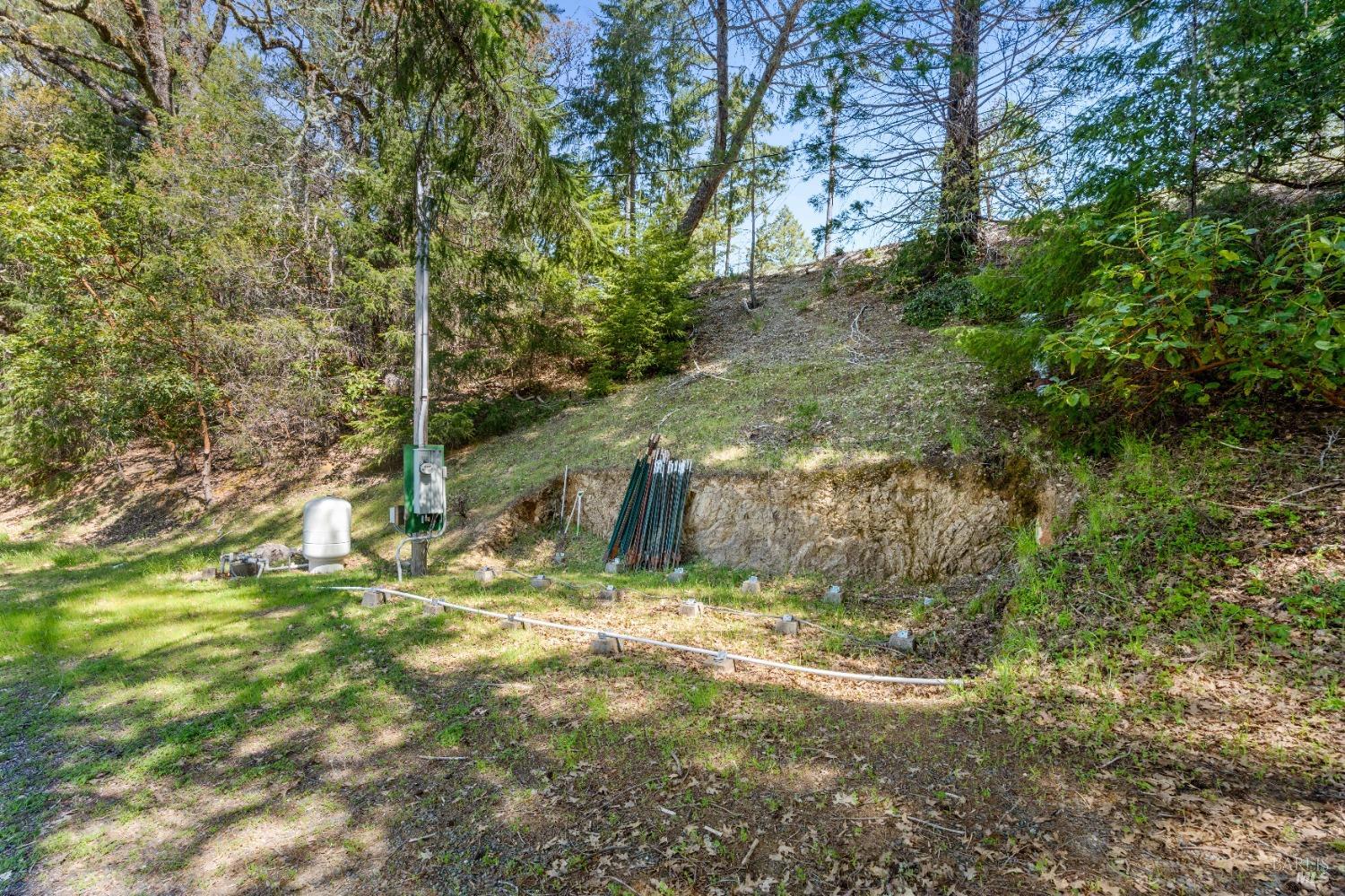 15800 Ridgeview Road Willits, CA 95490 - Photo 5 of 10 a view of backyard with green space