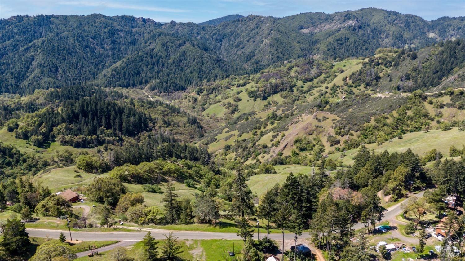 15800 Ridgeview Road Willits, CA 95490 - Photo 7 of 10 a view of a lot of trees and bushes