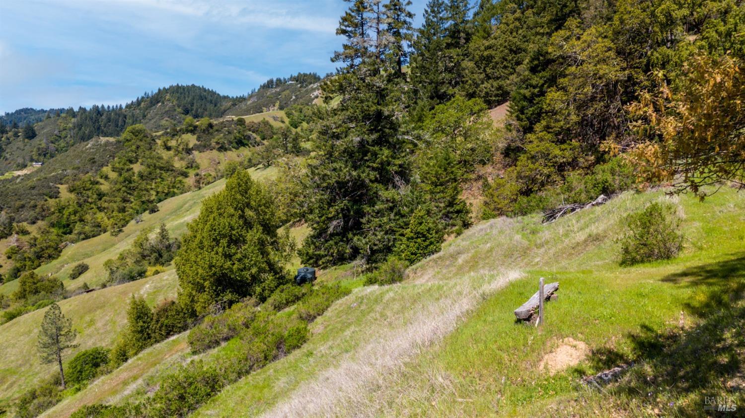 15800 Ridgeview Road Willits, CA 95490 - Photo 10 of 10 a view of a yard