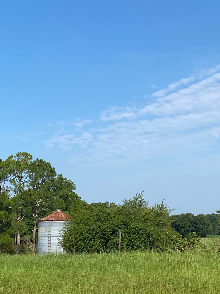 395 Hancock Road Doerun, GA 31744 - Photo 11 of 34 Gallery Image 11