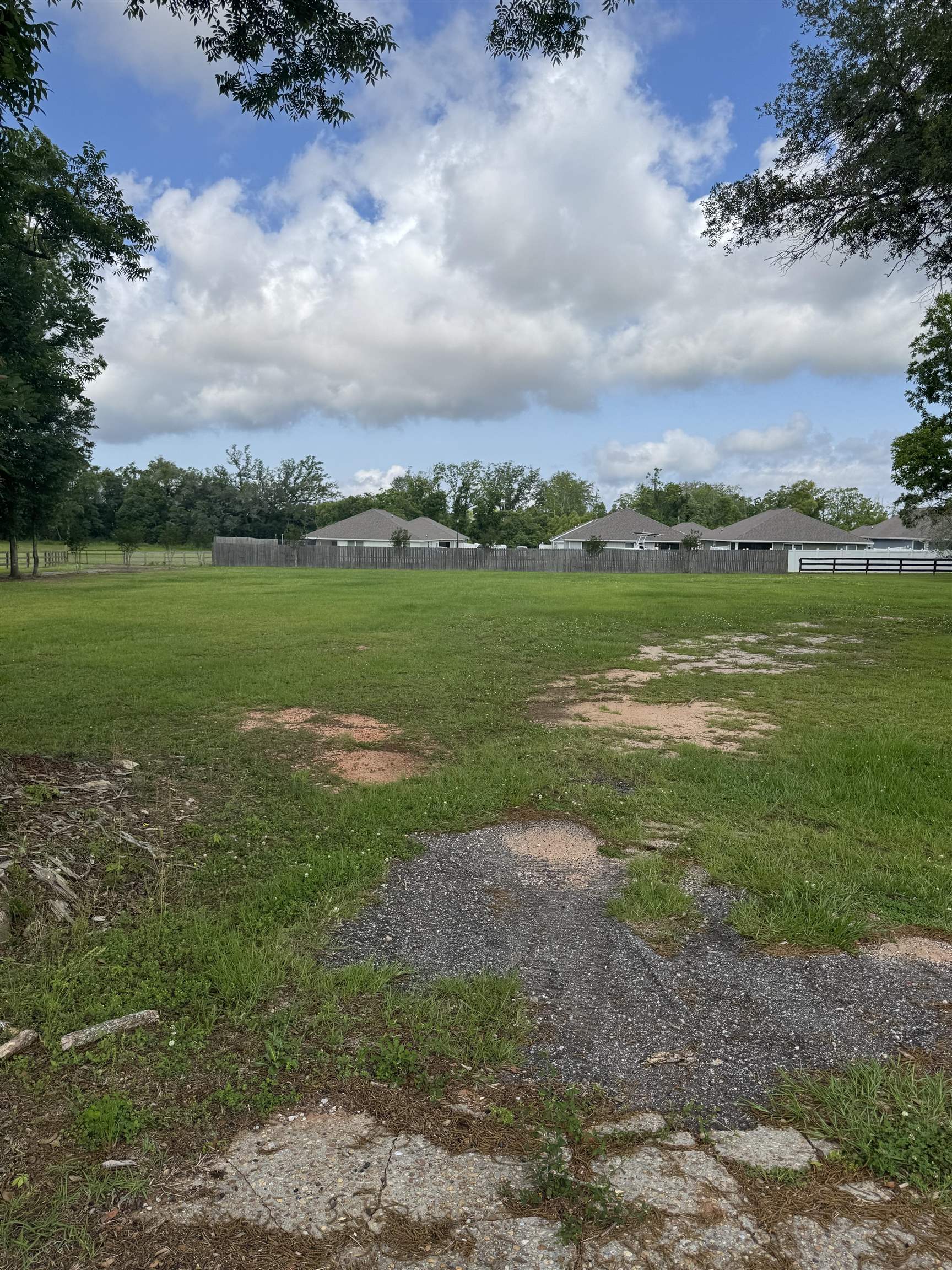 24501 County Road 54 Daphne, AL 36526 - Photo 2 of 3 Yard