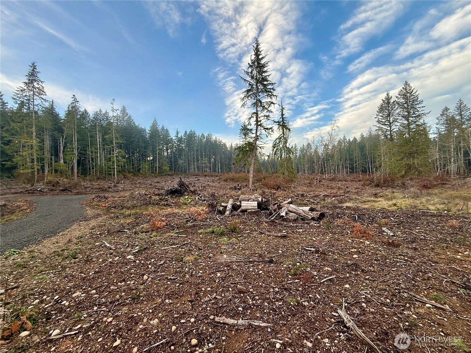 260 East Solbakk Veien Road Shelton, WA 98584 - Photo 12 of 38 a view of a forest with trees in the background
