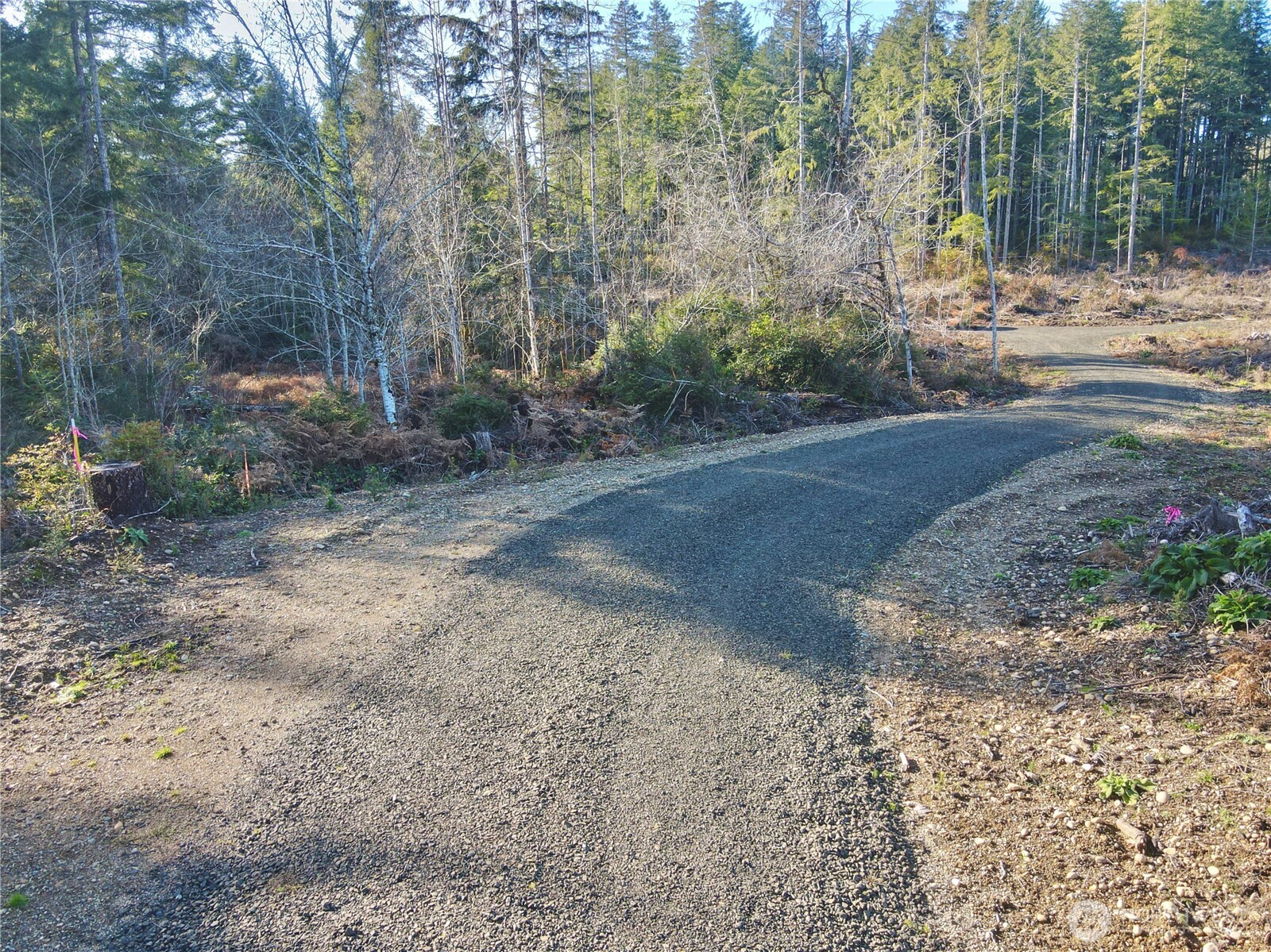 260 East Solbakk Veien Road Shelton, WA 98584 - Photo 24 of 38 a view of a yard with a tree