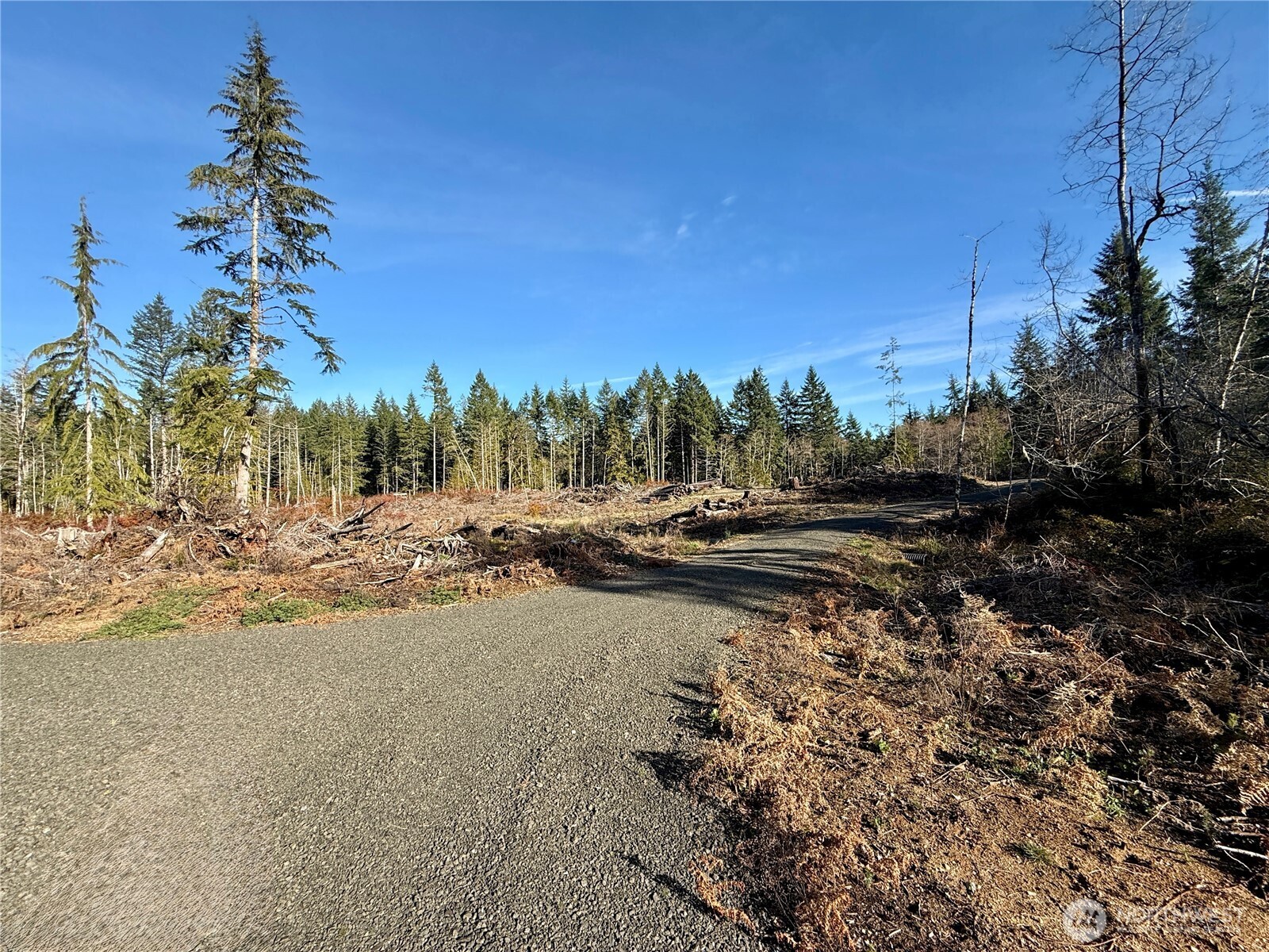 260 East Solbakk Veien Road Shelton, WA 98584 - Photo 25 of 38 a view of a road with a yard