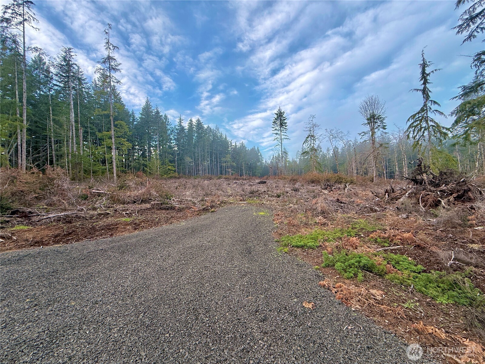 260 East Solbakk Veien Road Shelton, WA 98584 - Photo 26 of 38 a view of a yard with trees in the background