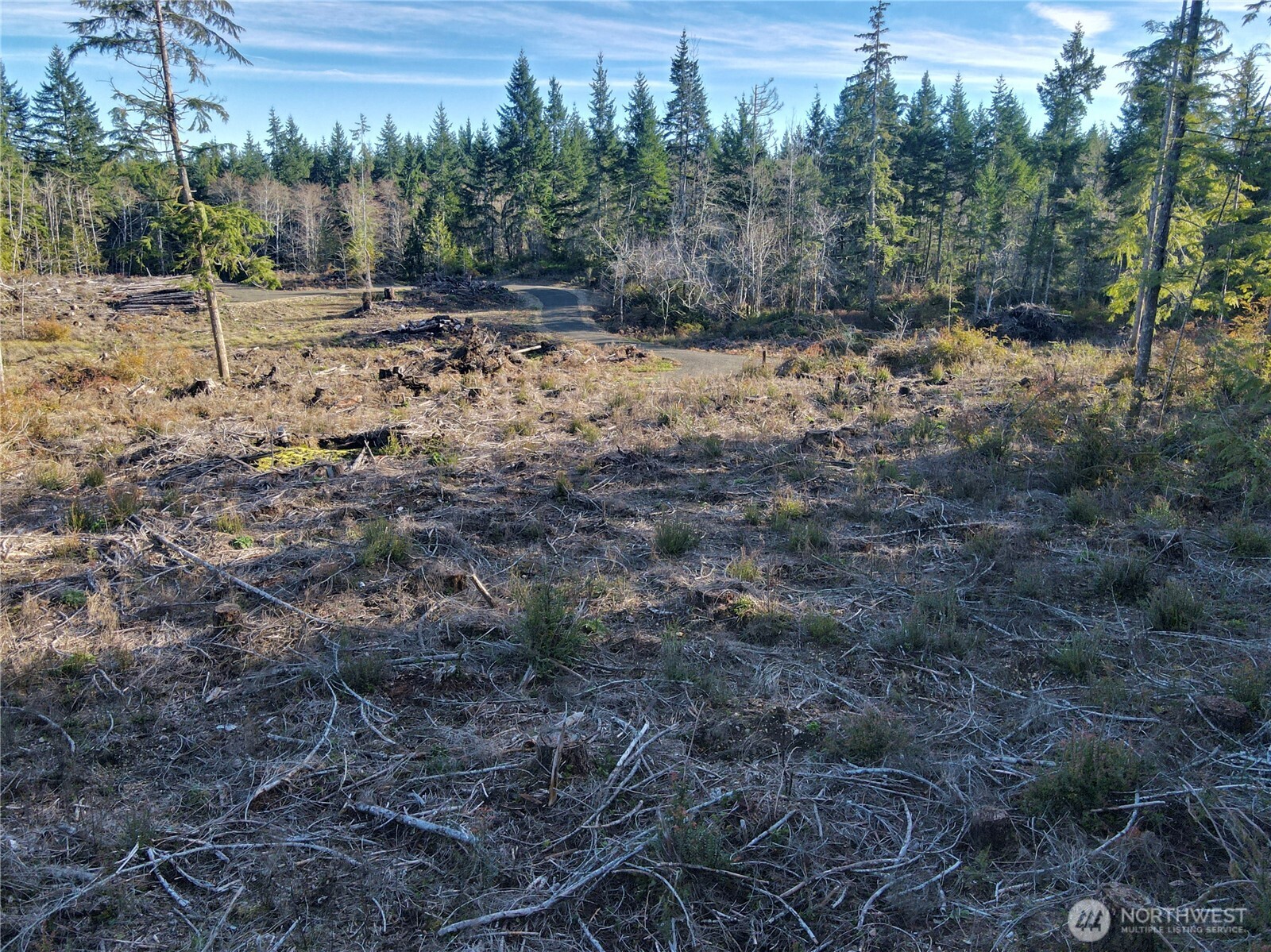 260 East Solbakk Veien Road Shelton, WA 98584 - Photo 27 of 38